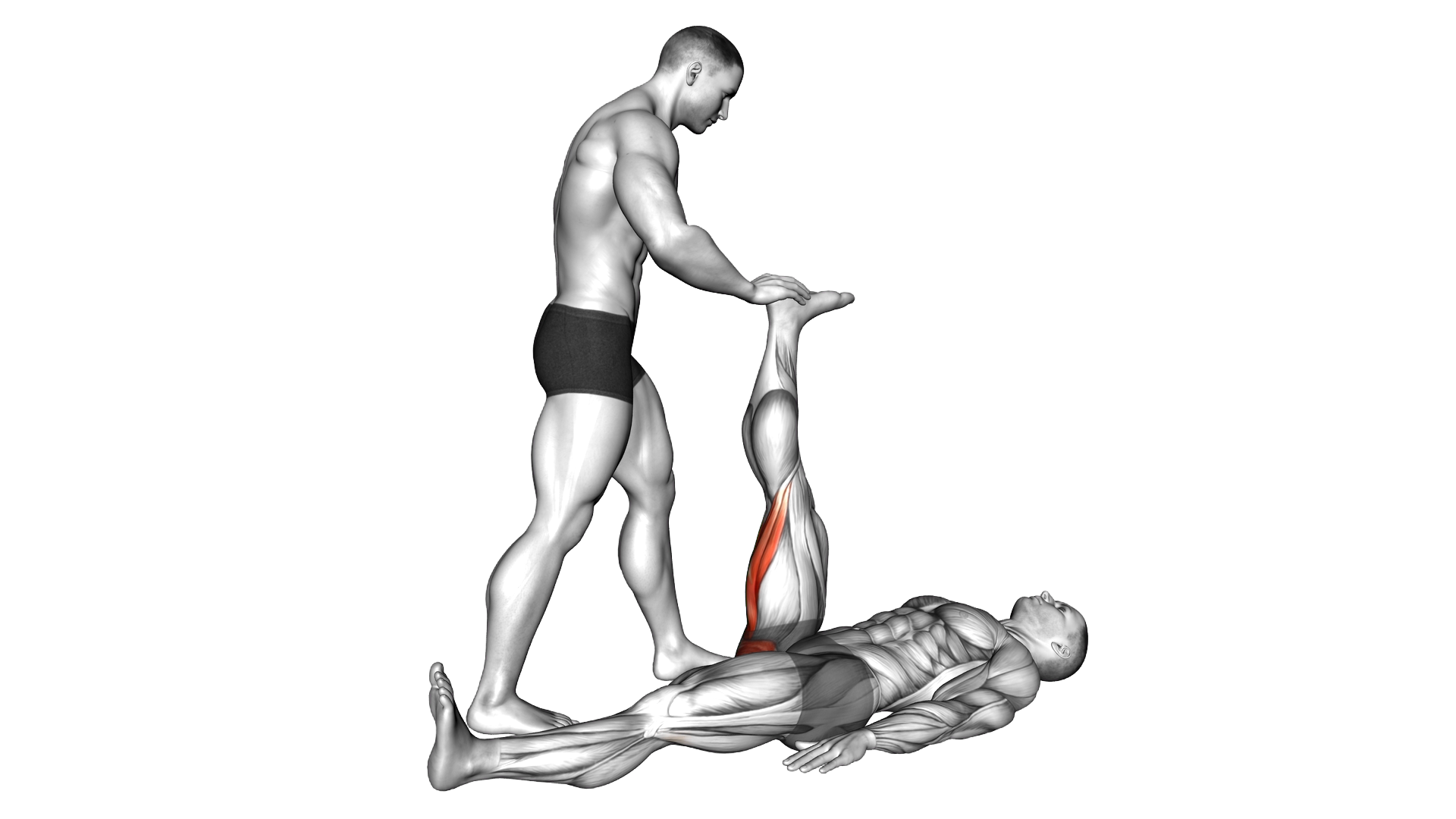 Assisted Lying Hamstring Stretch exercise demonstration