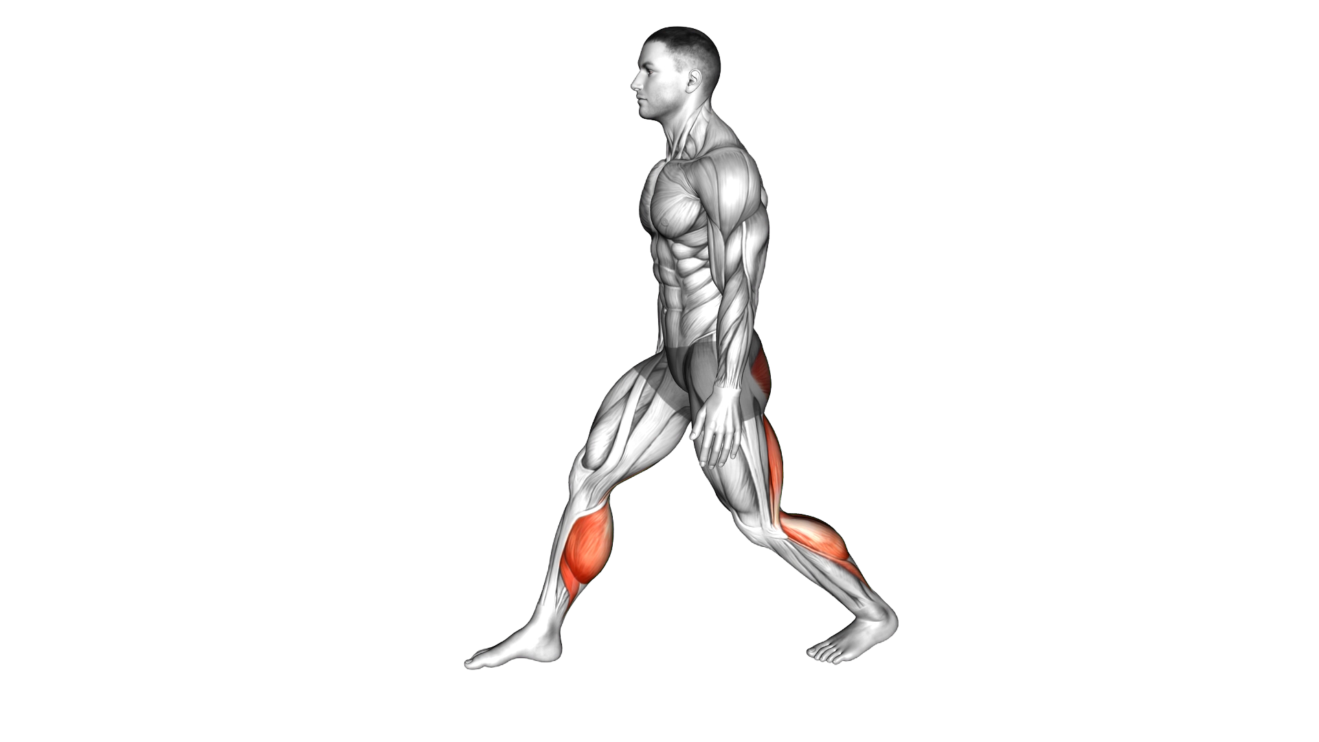 Crouching Heel Back Calf Stretch exercise demonstration