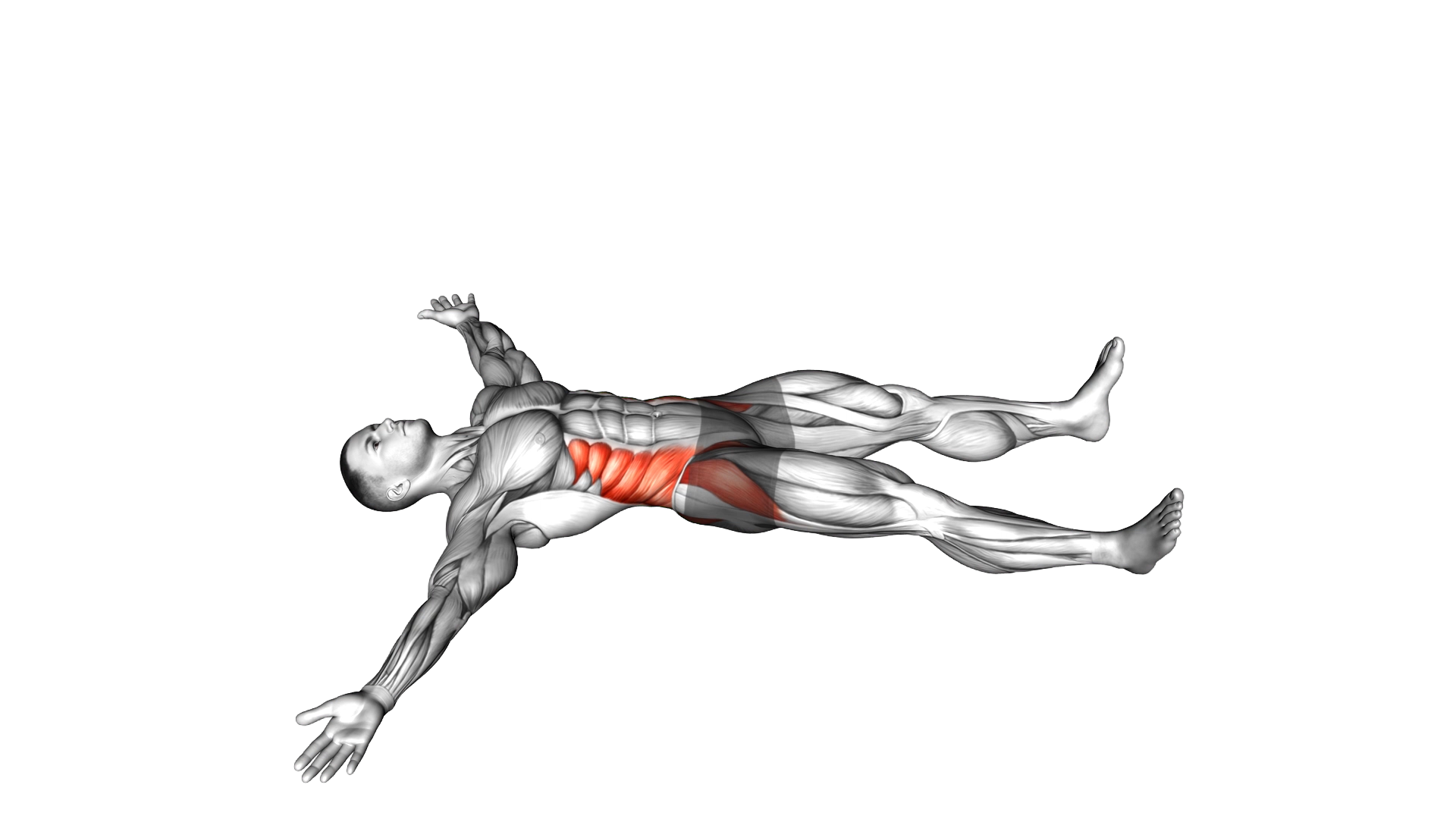 Lying Cross Over Knee Pull Down Stretch exercise demonstration