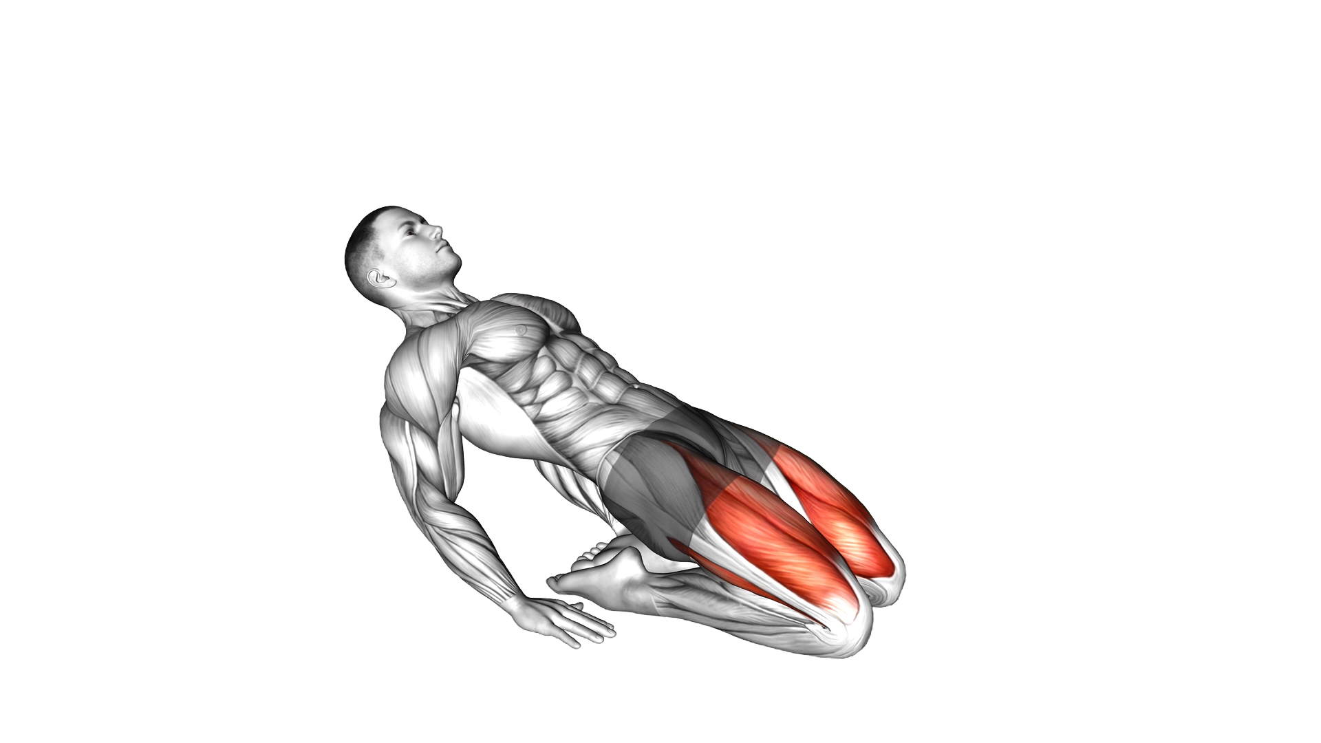 Double Lean Back Quadriceps Stretch exercise demonstration