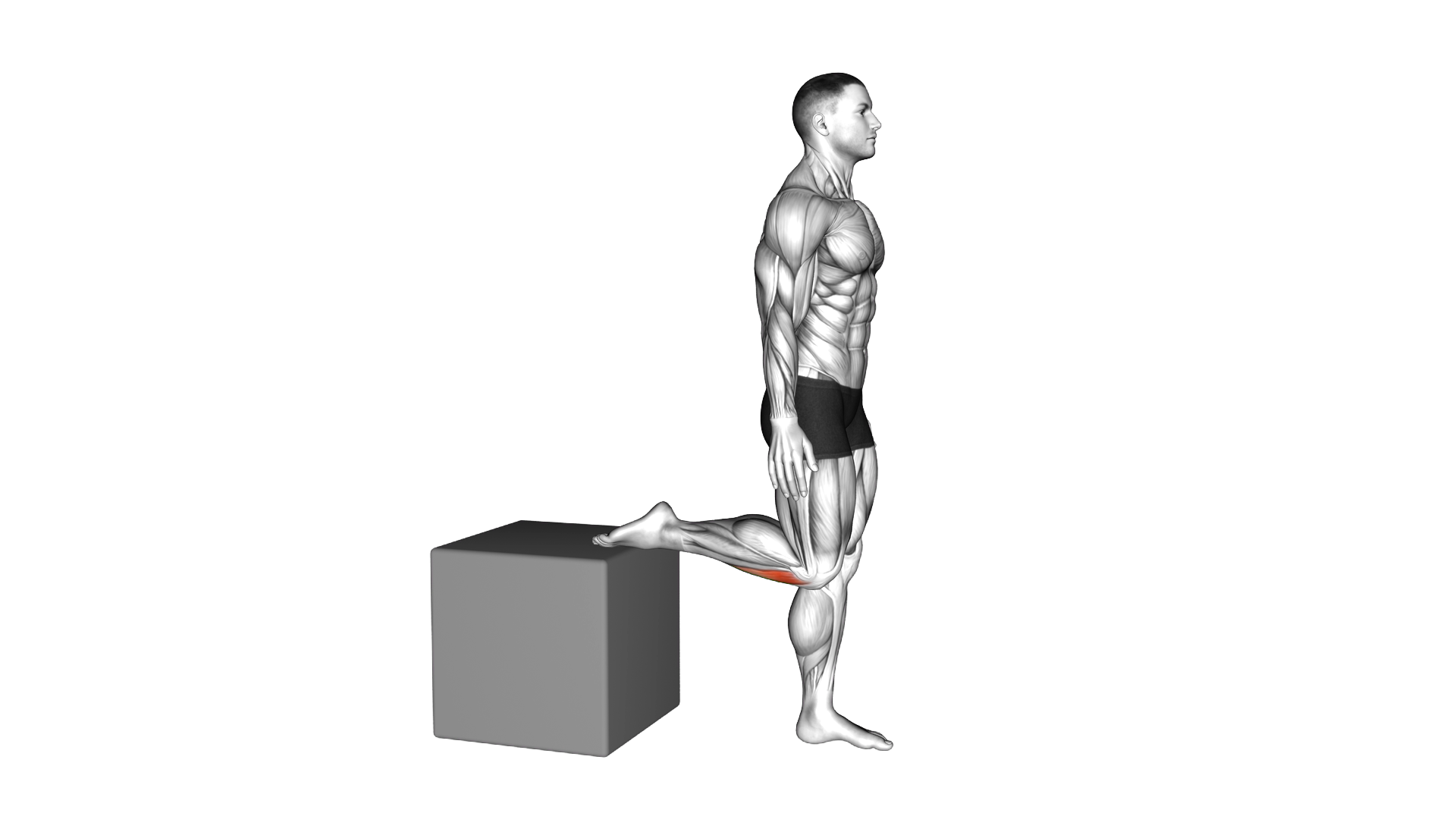 Raised Foot Shin Stretch exercise demonstration