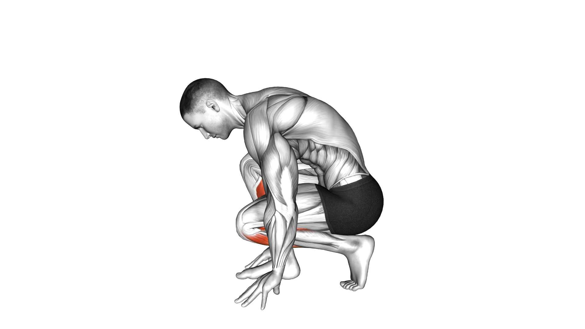 Squatting Toe Stretch exercise demonstration