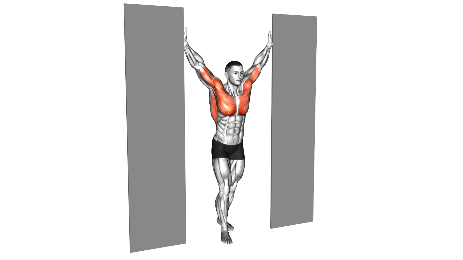 Standing Upright Shoulders Stretch exercise demonstration