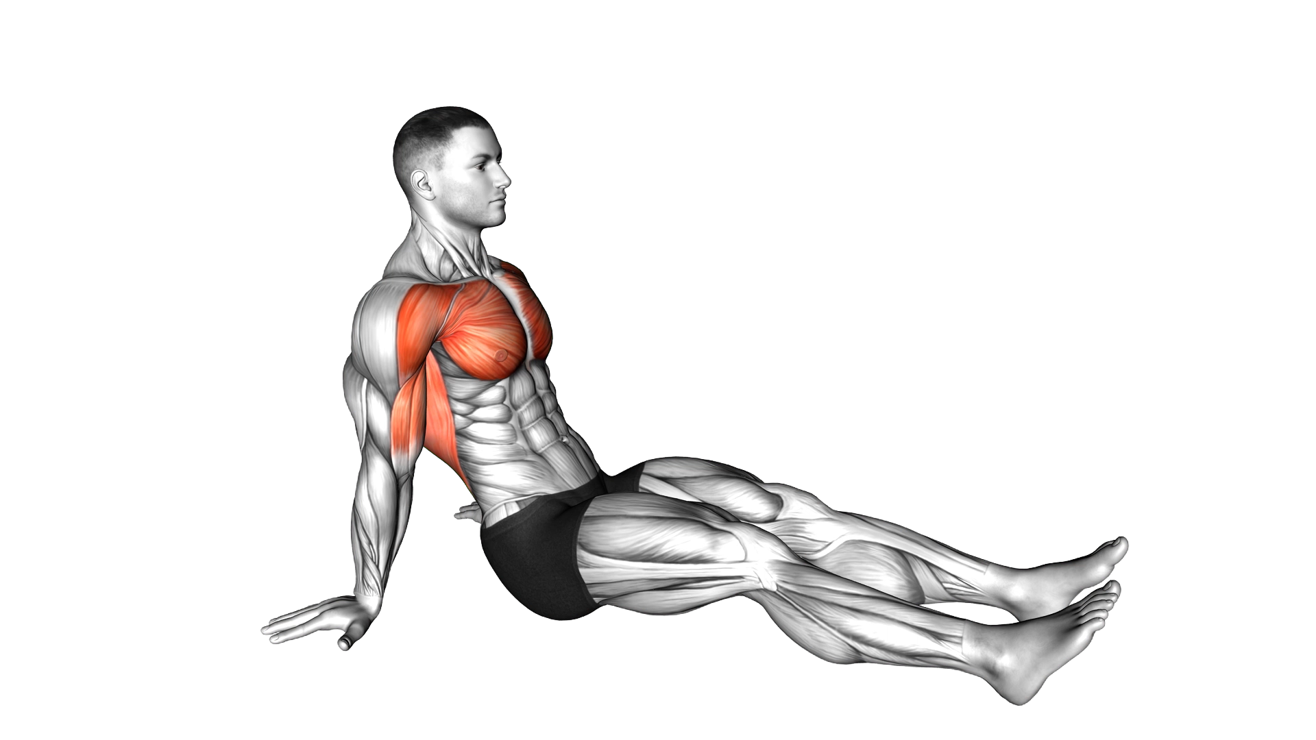 Seated Shoulder Flexor Depresor Retractor Stretch exercise demonstration