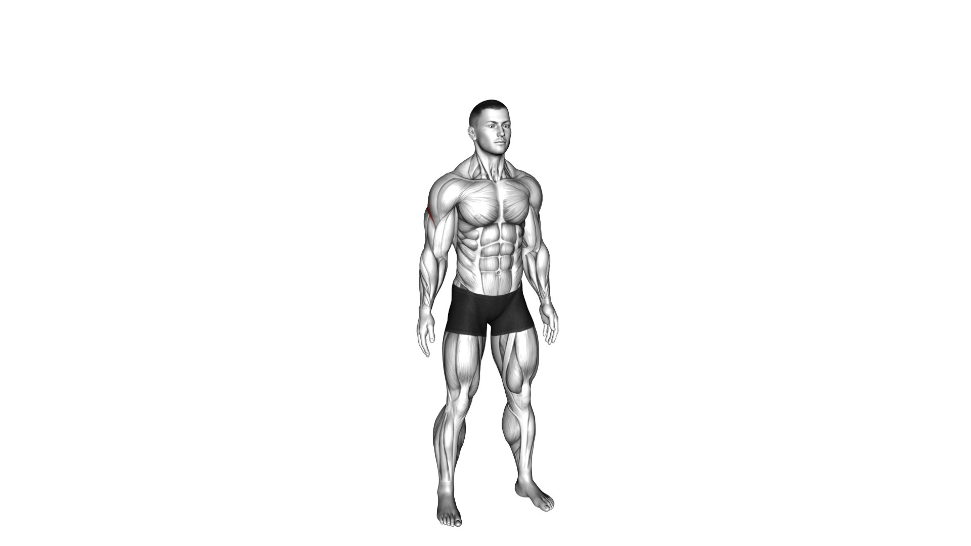 Across Chest Shoulder Stretch exercise demonstration