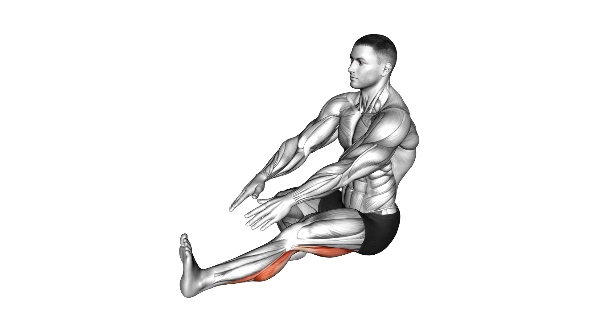 Sitting Toe Pull Calf Stretch exercise demonstration