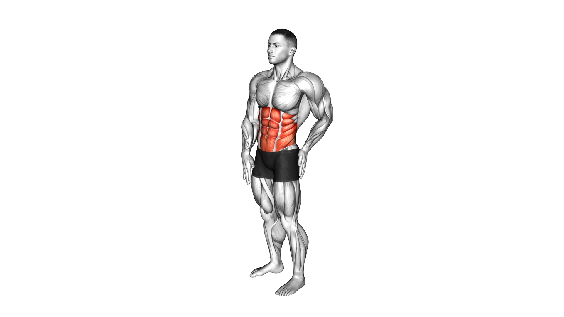 Standing Abs Rotation Stretch exercise demonstration