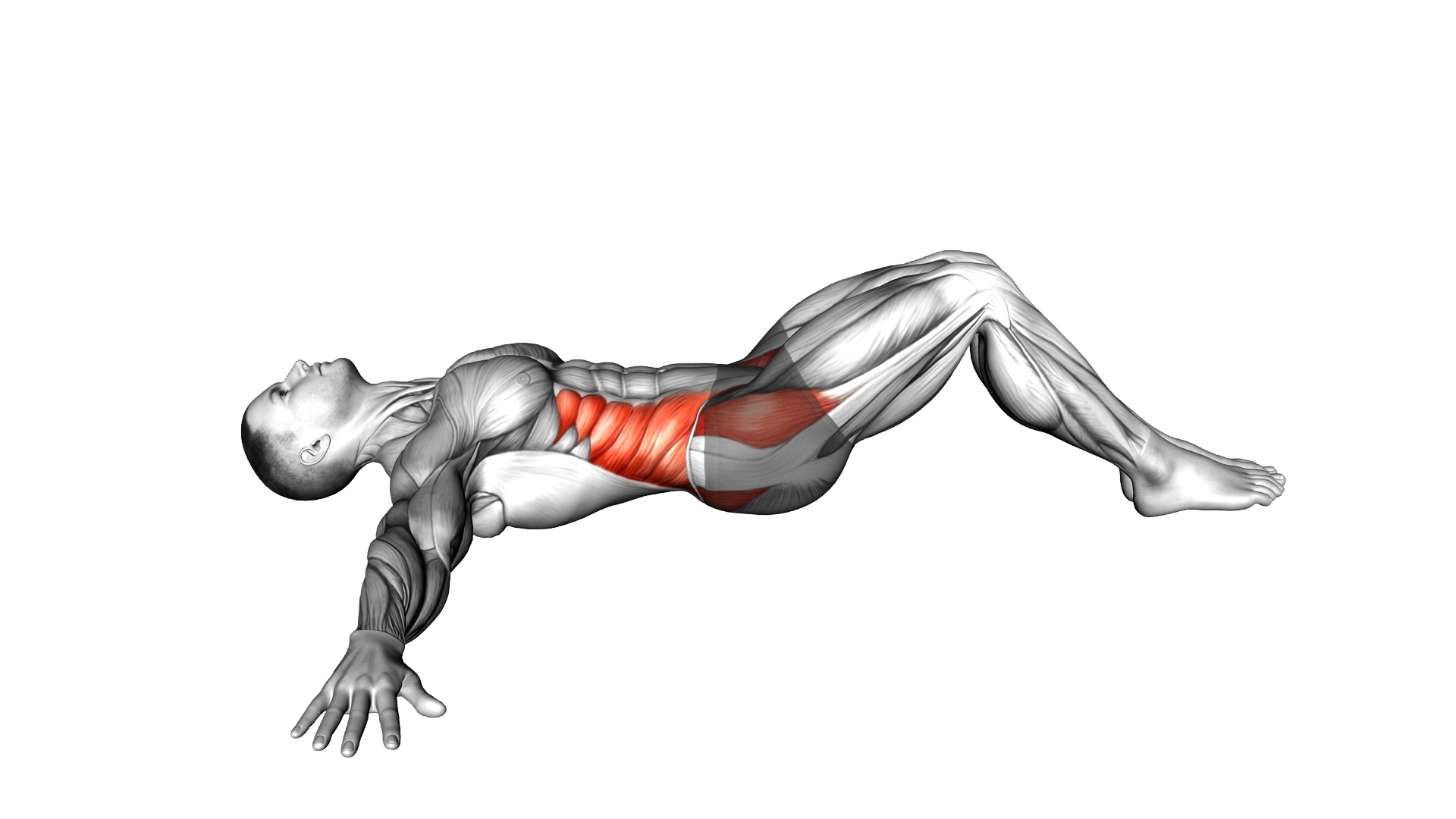 Lying Knee Roll Over Stretch exercise demonstration