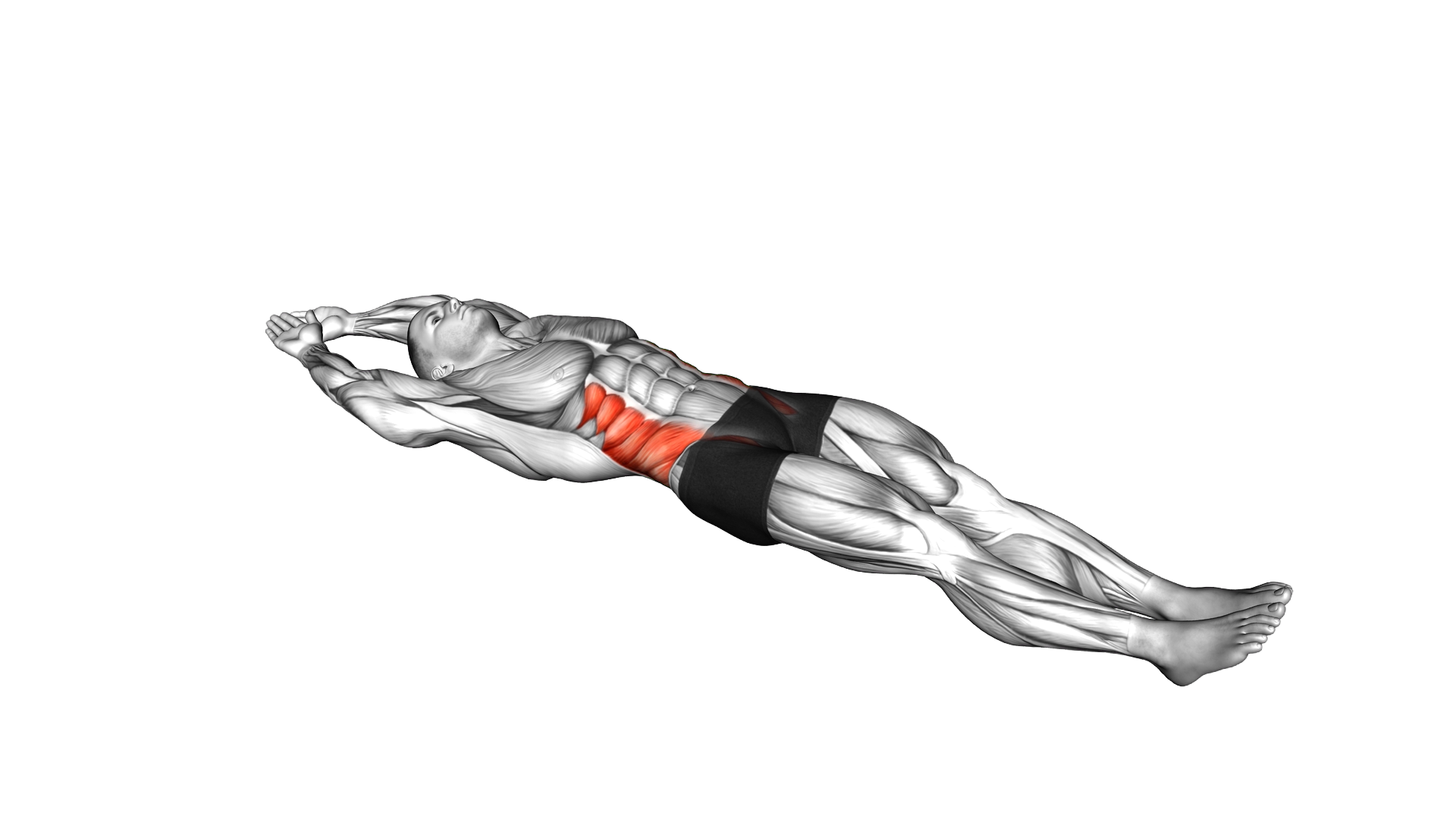 Lateral Bend Lying Down exercise demonstration