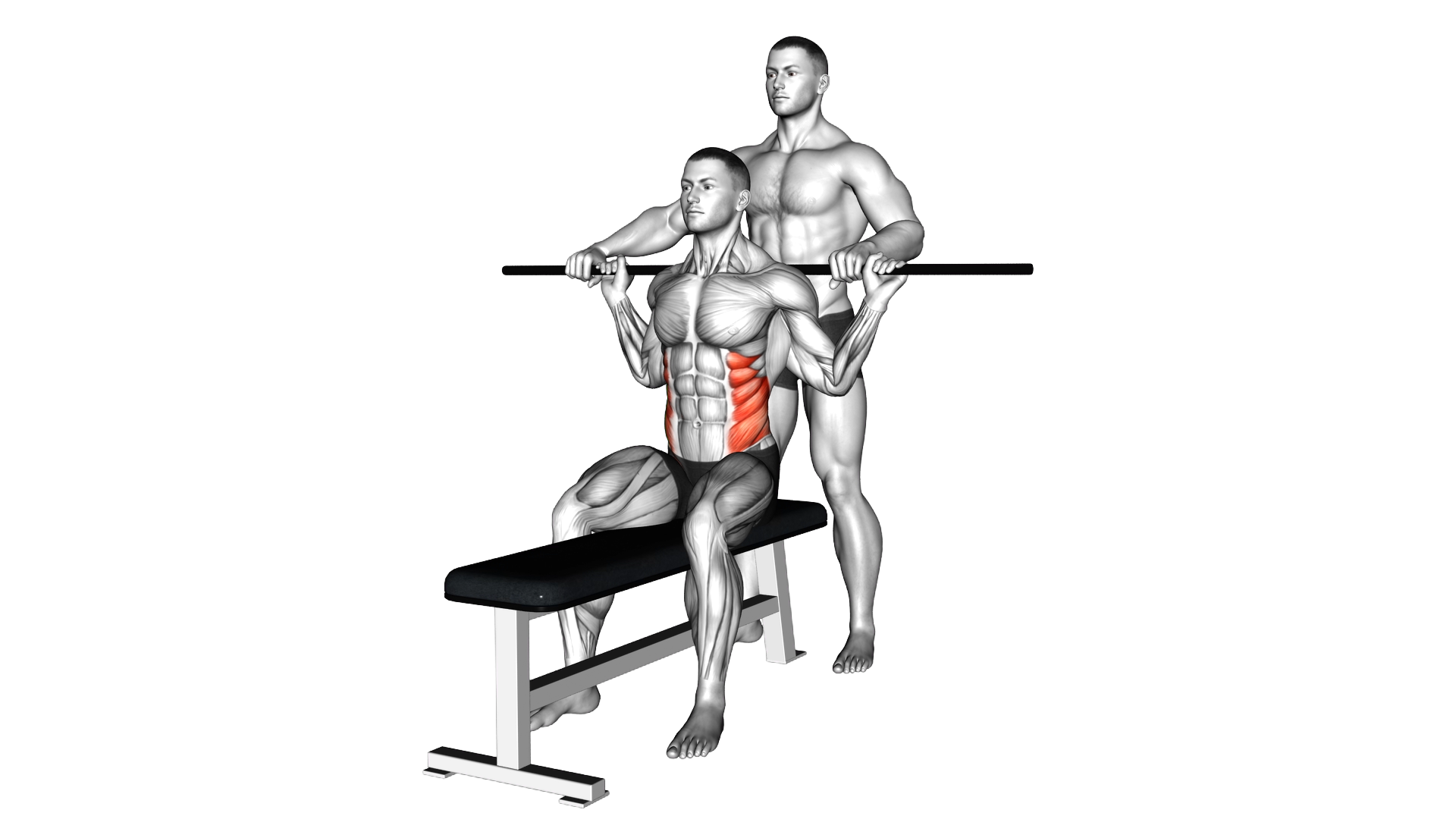 Assisted Obliques Stretch exercise demonstration