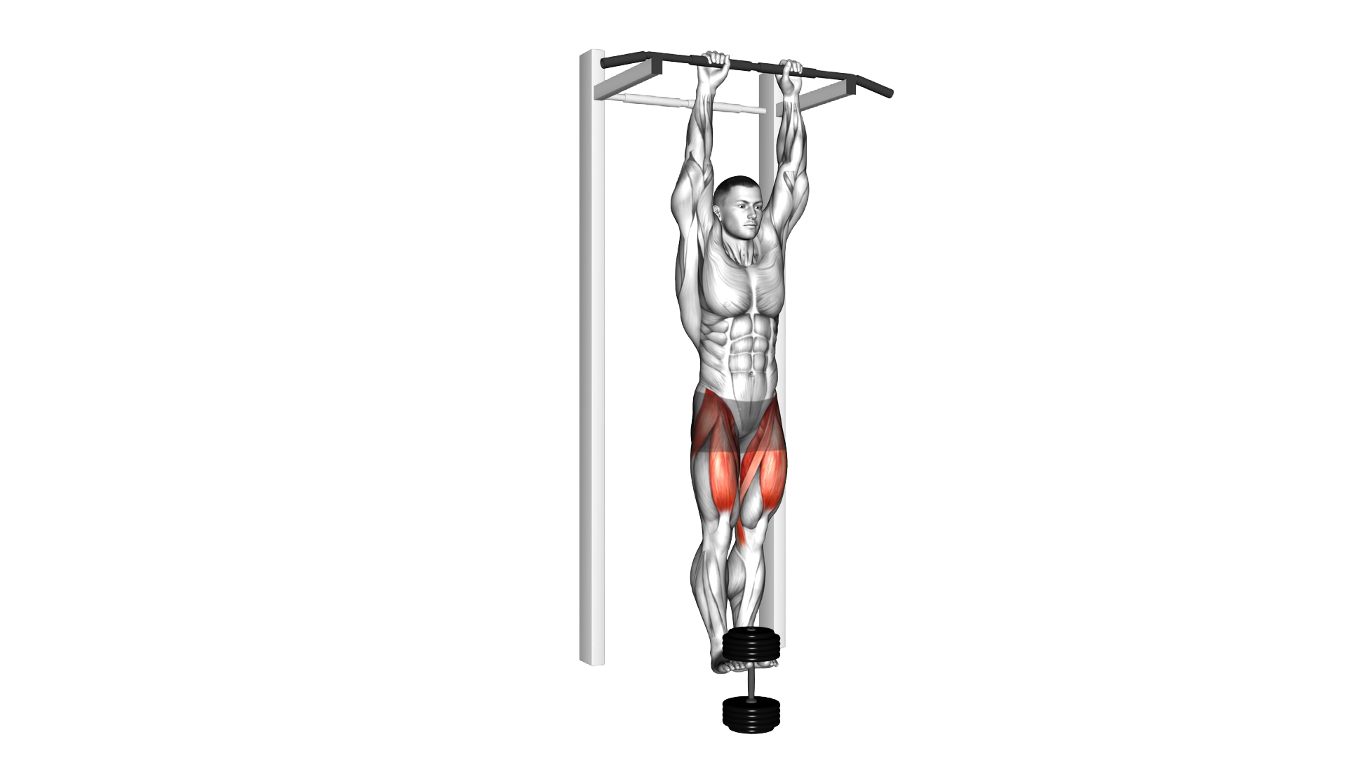 Weighted Hanging Straight Leg Raise exercise demonstration