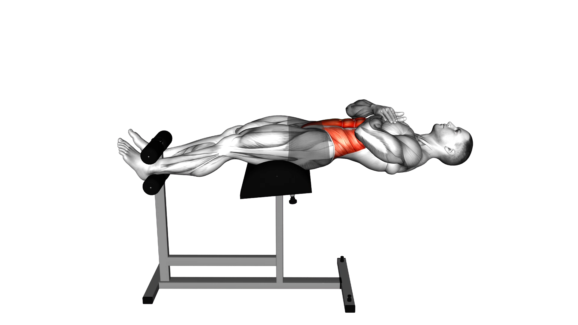 Glute Ham Developer crunch exercise demonstration