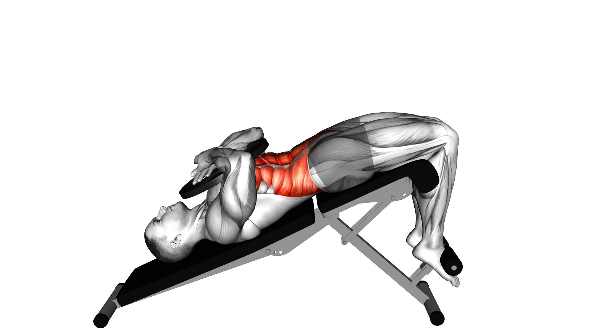 Weighted decline crunch exercise demonstration