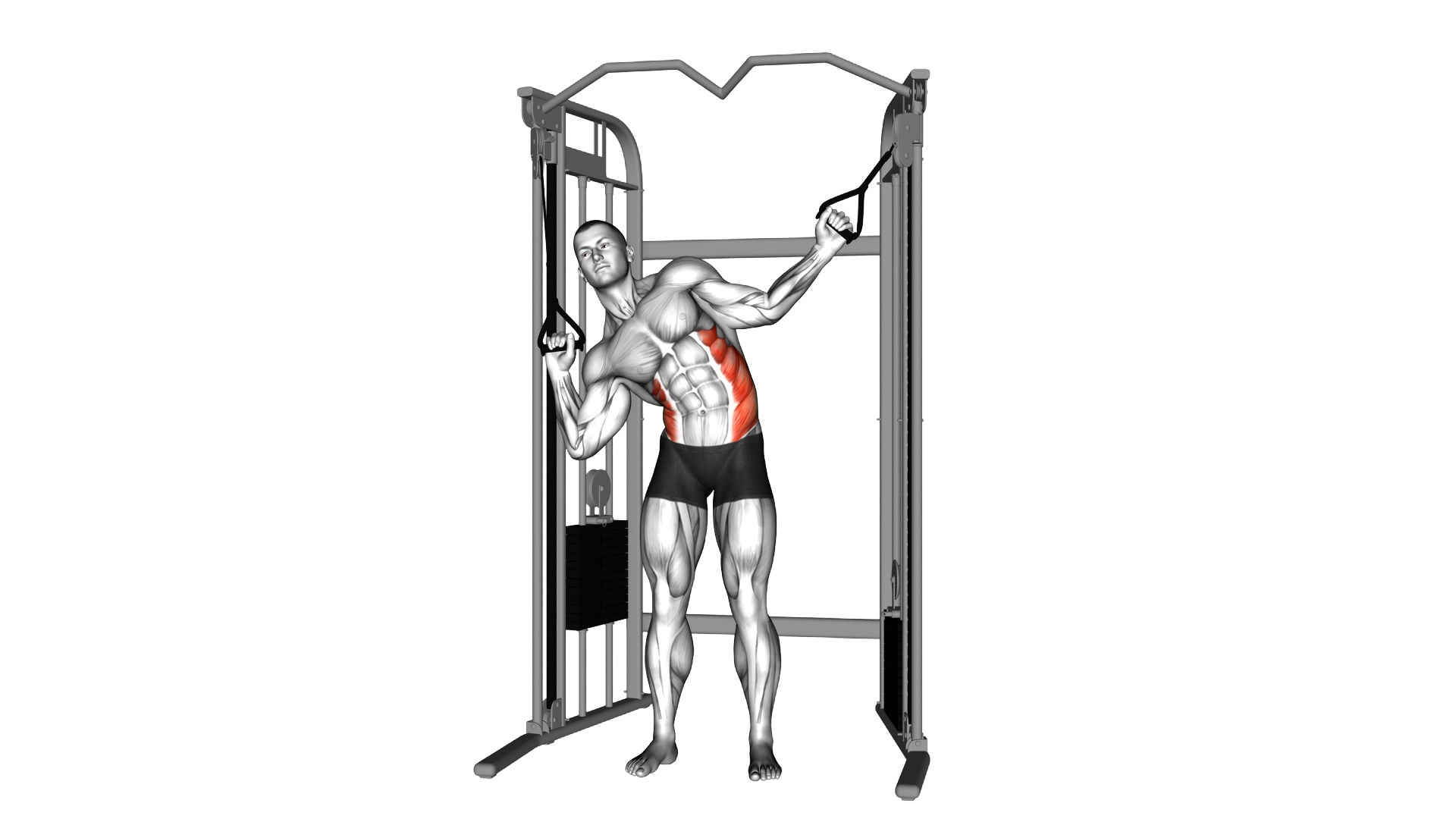 Cable Standing Serratus (Obliques) crunch exercise thumbnail