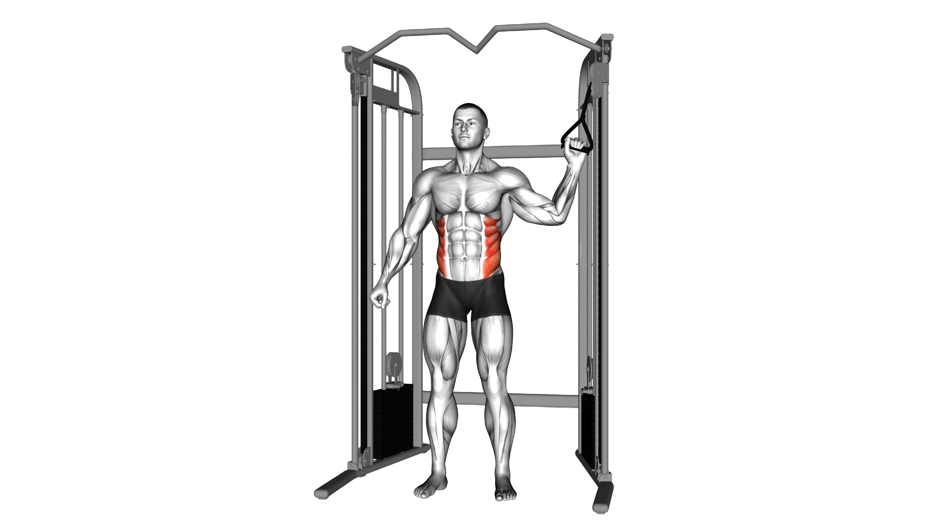 Cable Standing One Arm Serratus (Obliques) crunch exercise thumbnail