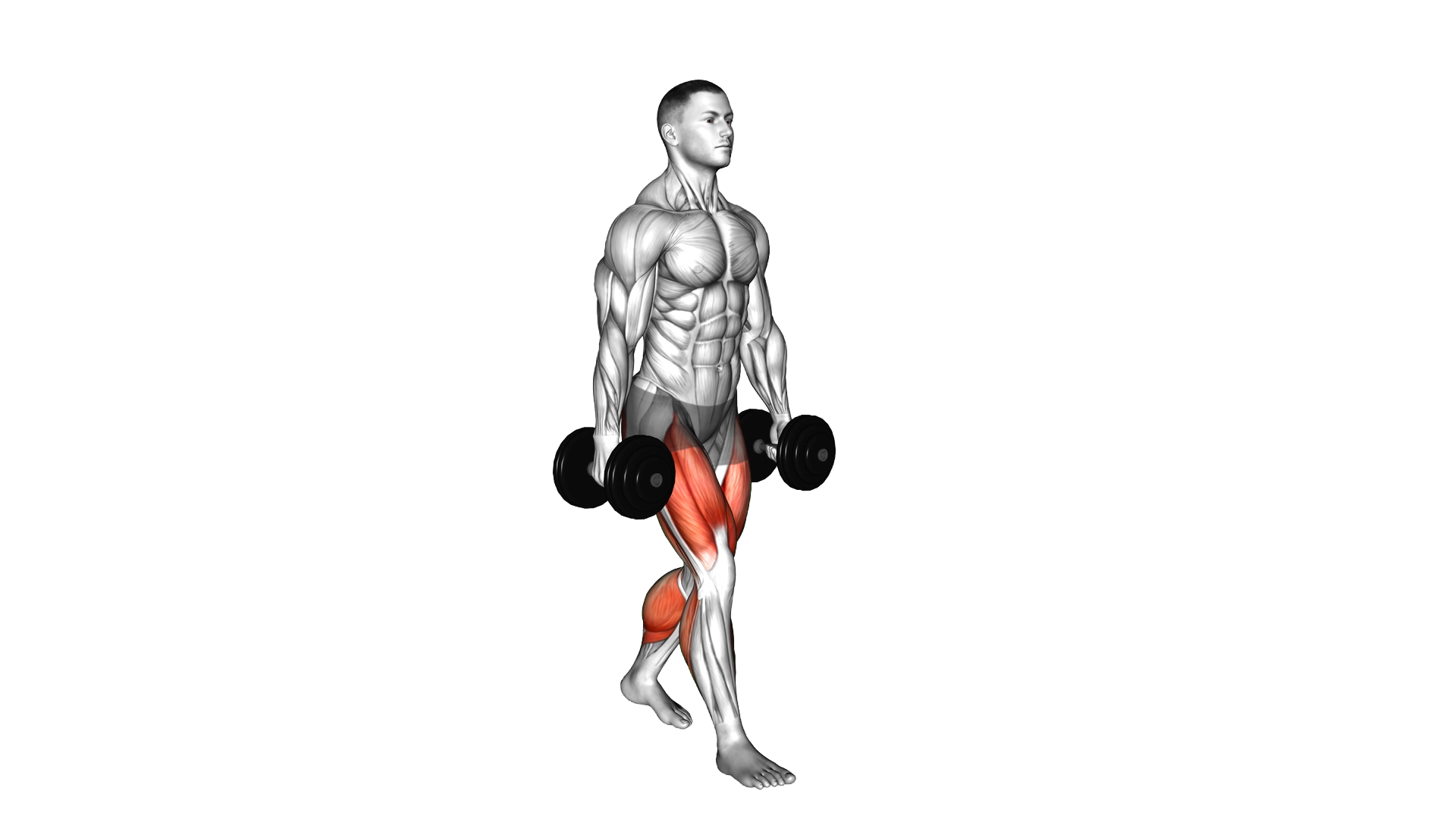 Farmers walk exercise demonstration
