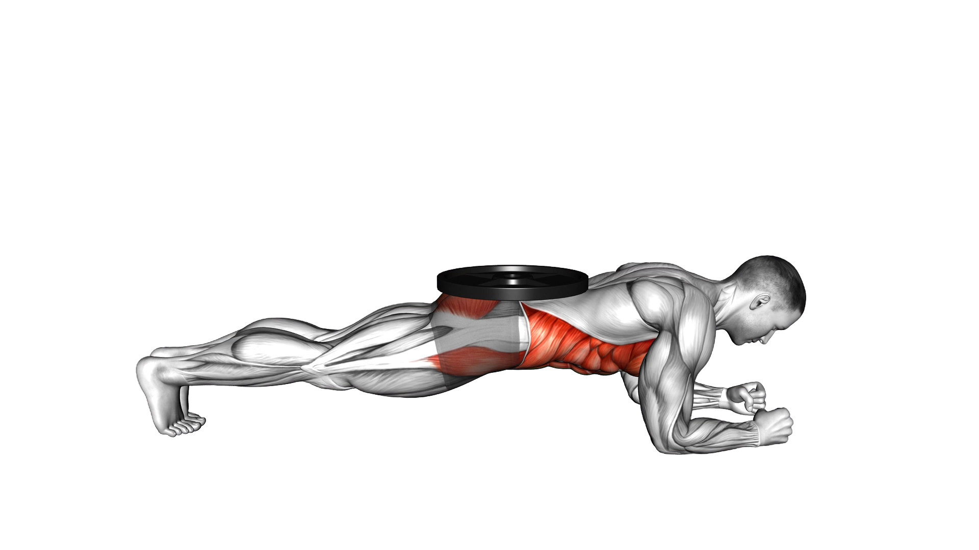 Weighted Front Plank exercise demonstration