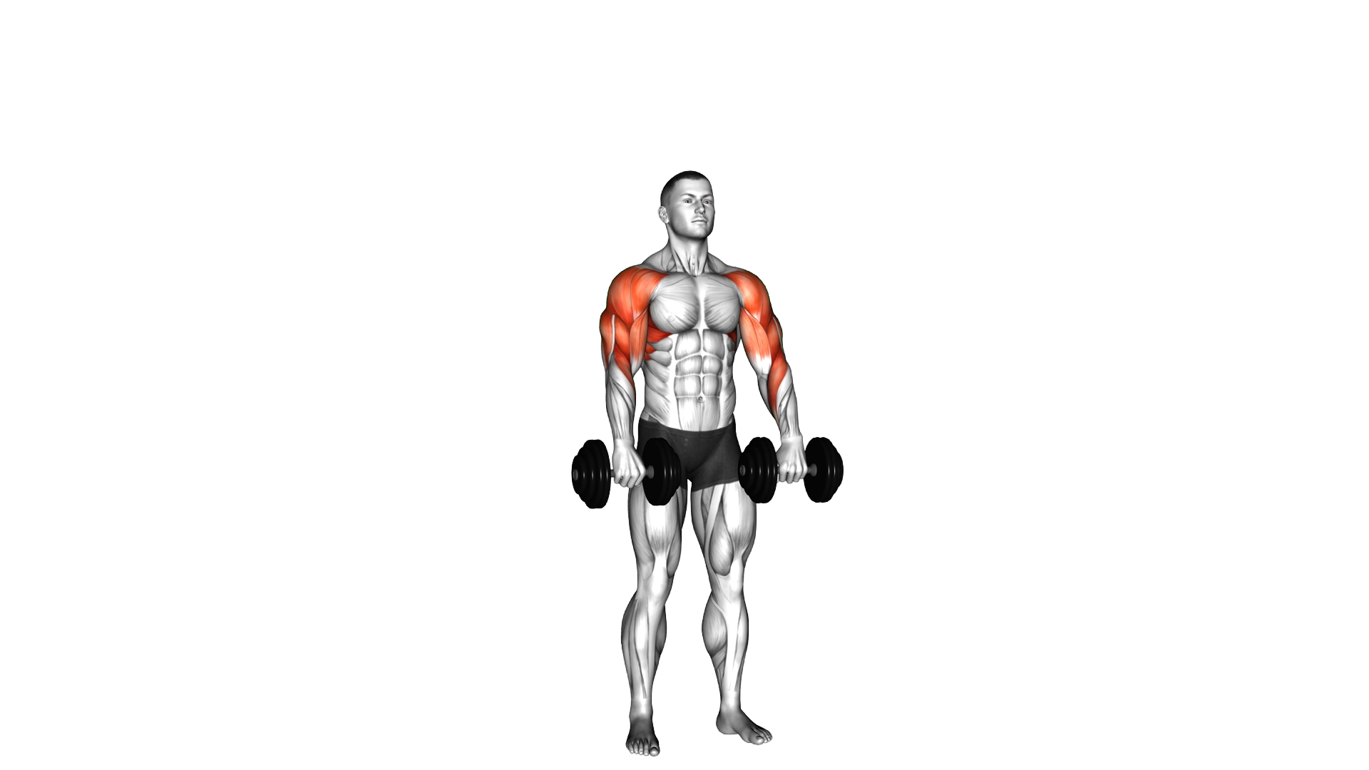 Dumbbell Cuban Press exercise demonstration