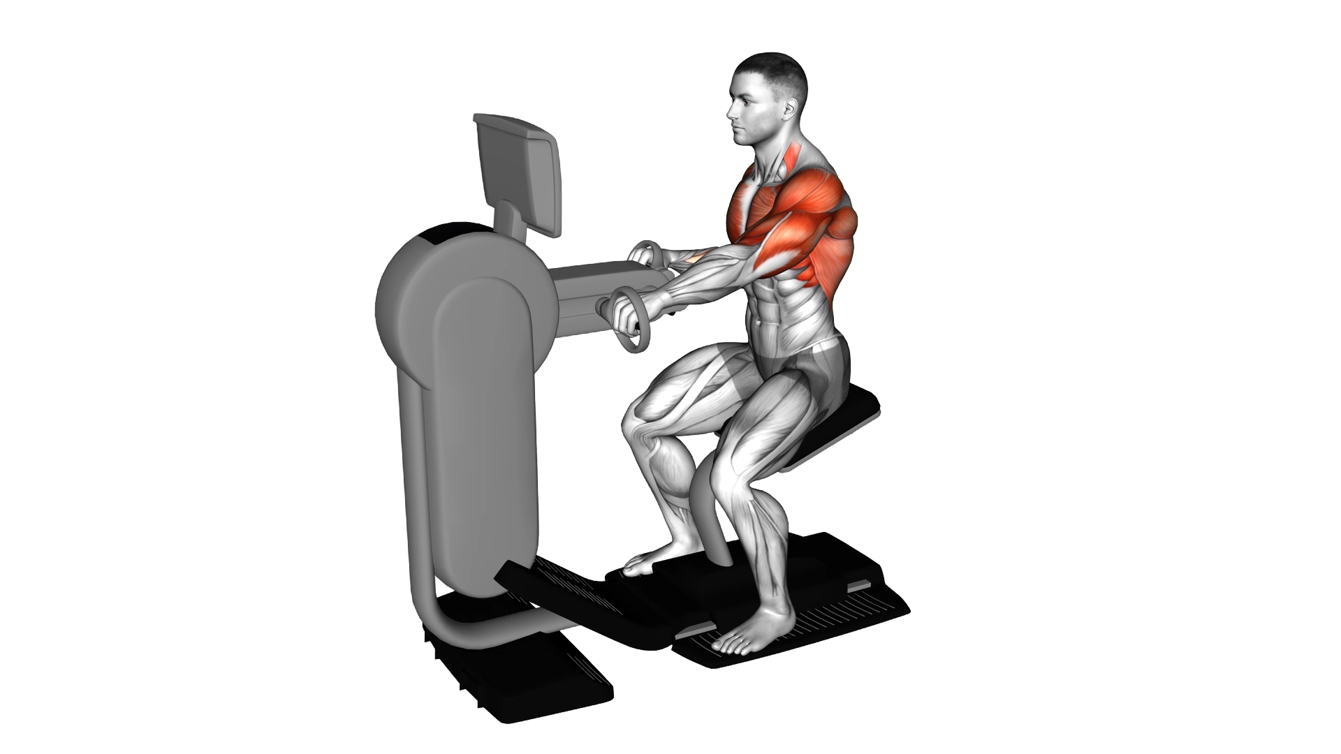 Hands bike exercise demonstration