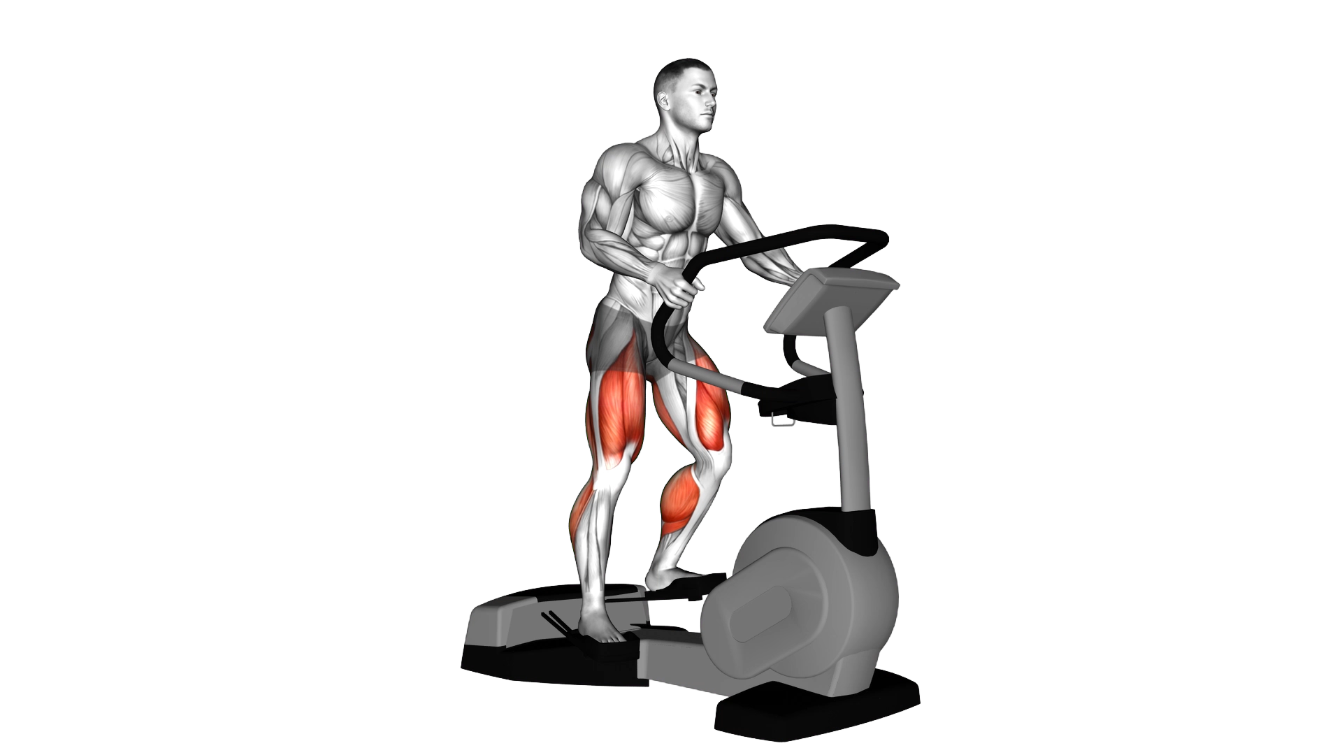 Walk Wave Machine exercise demonstration