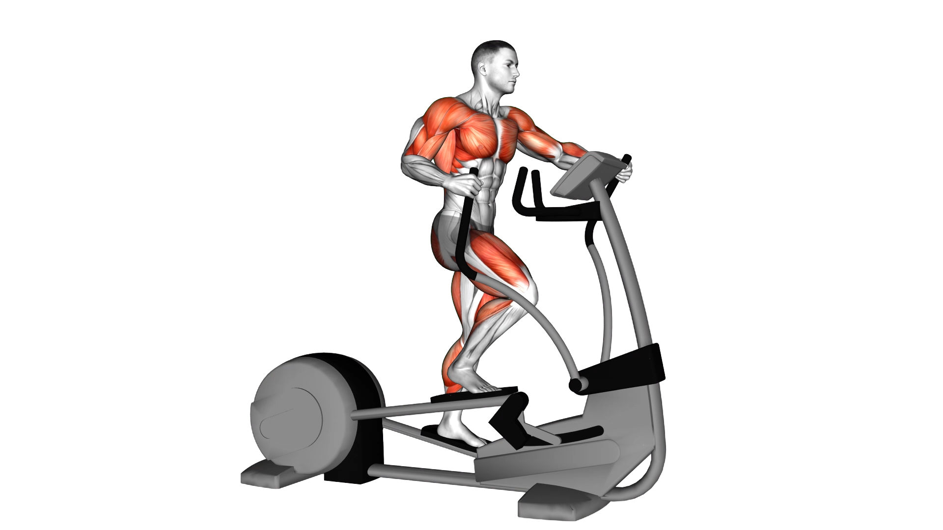 Walk Elliptical Cross Trainer exercise demonstration