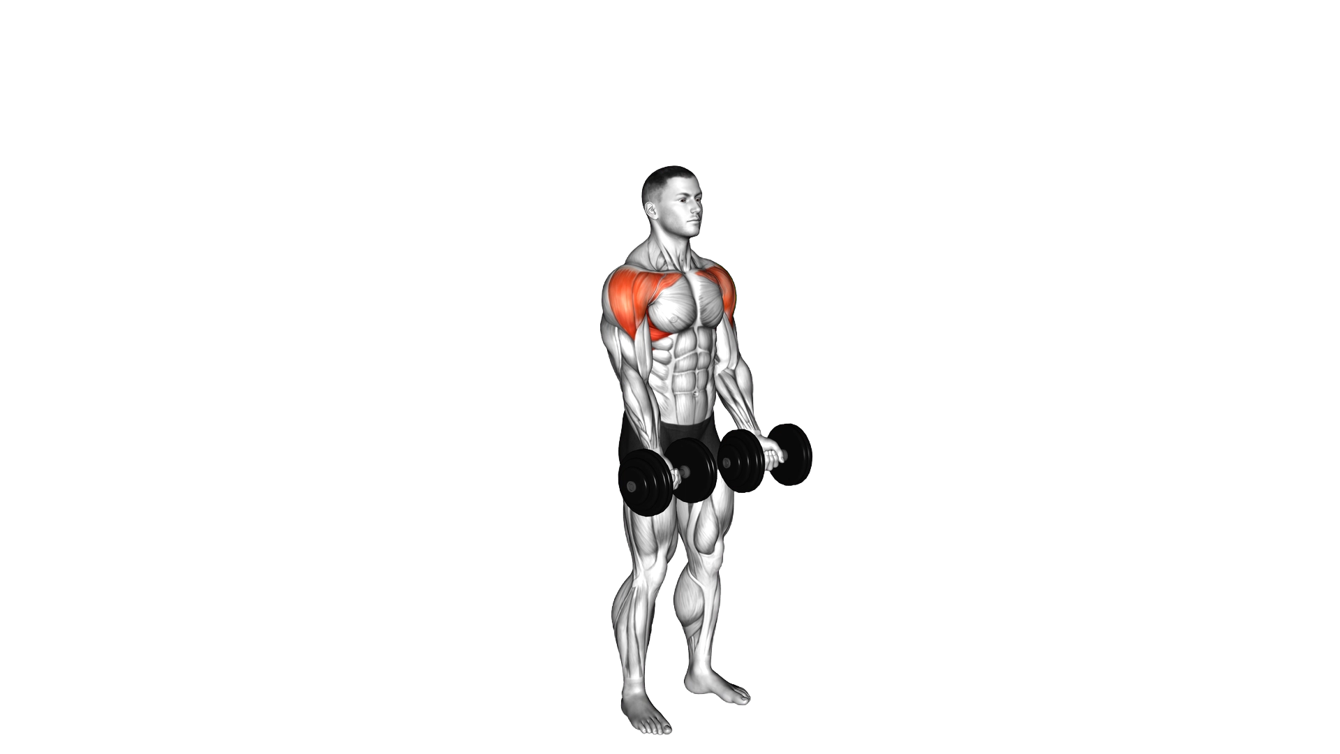 Dumbbell Standing Around World exercise demonstration