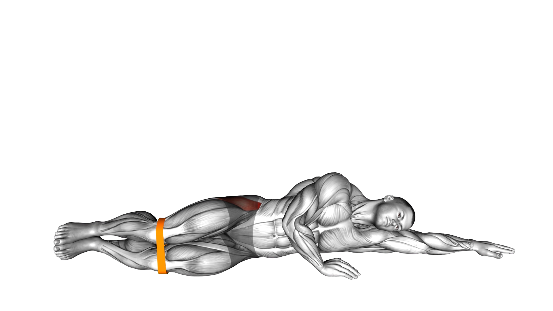 Resistance Band Clam exercise demonstration