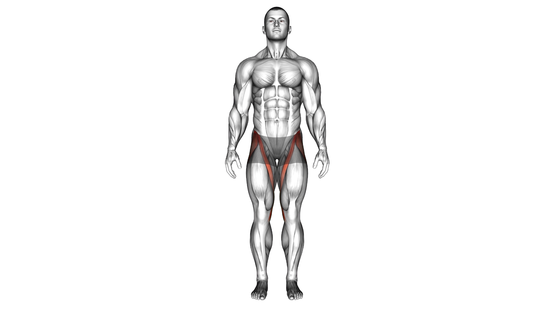 Hip abduction exercise demonstration