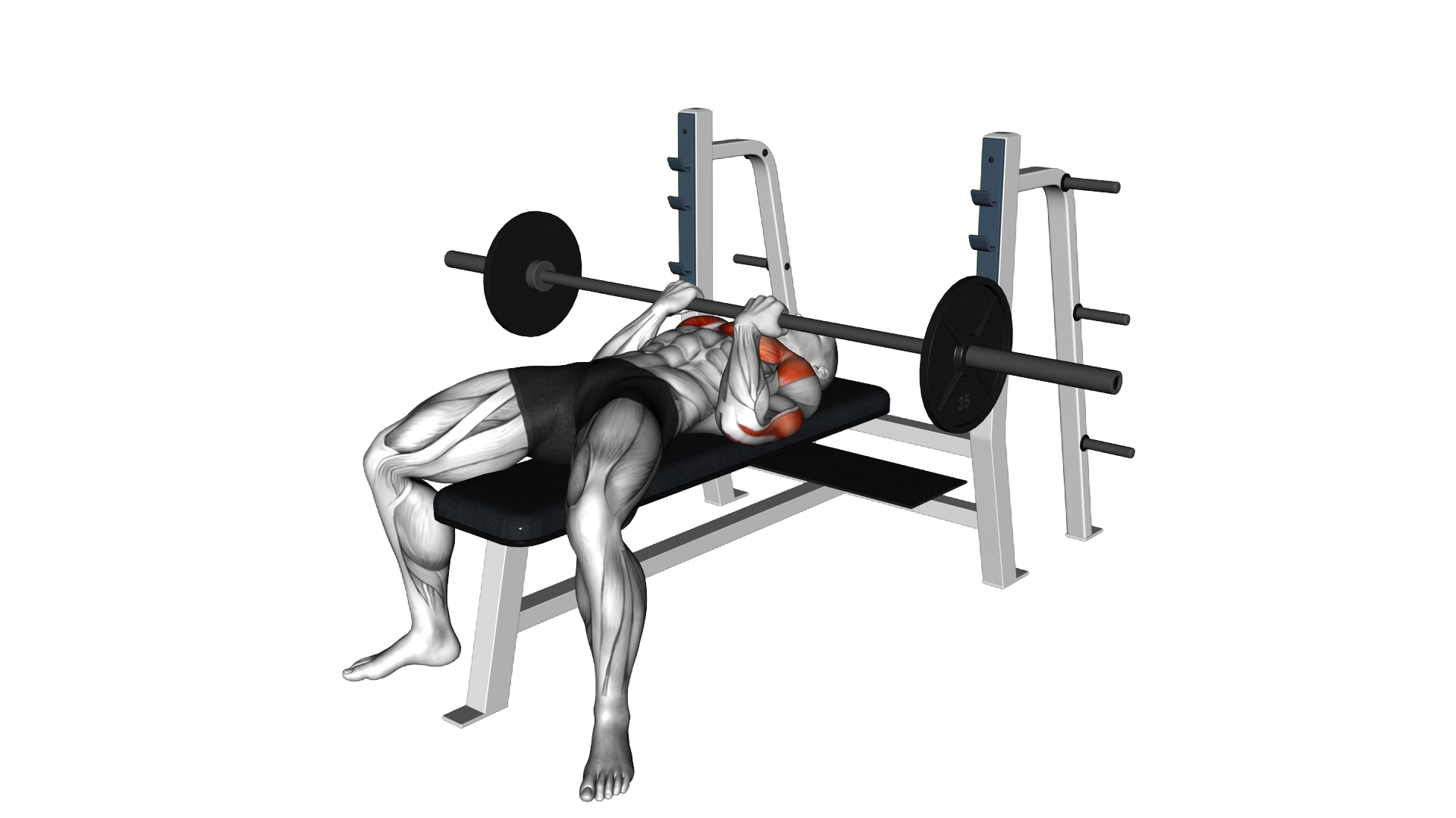 Barbell Reverse Close grip Bench Press exercise thumbnail