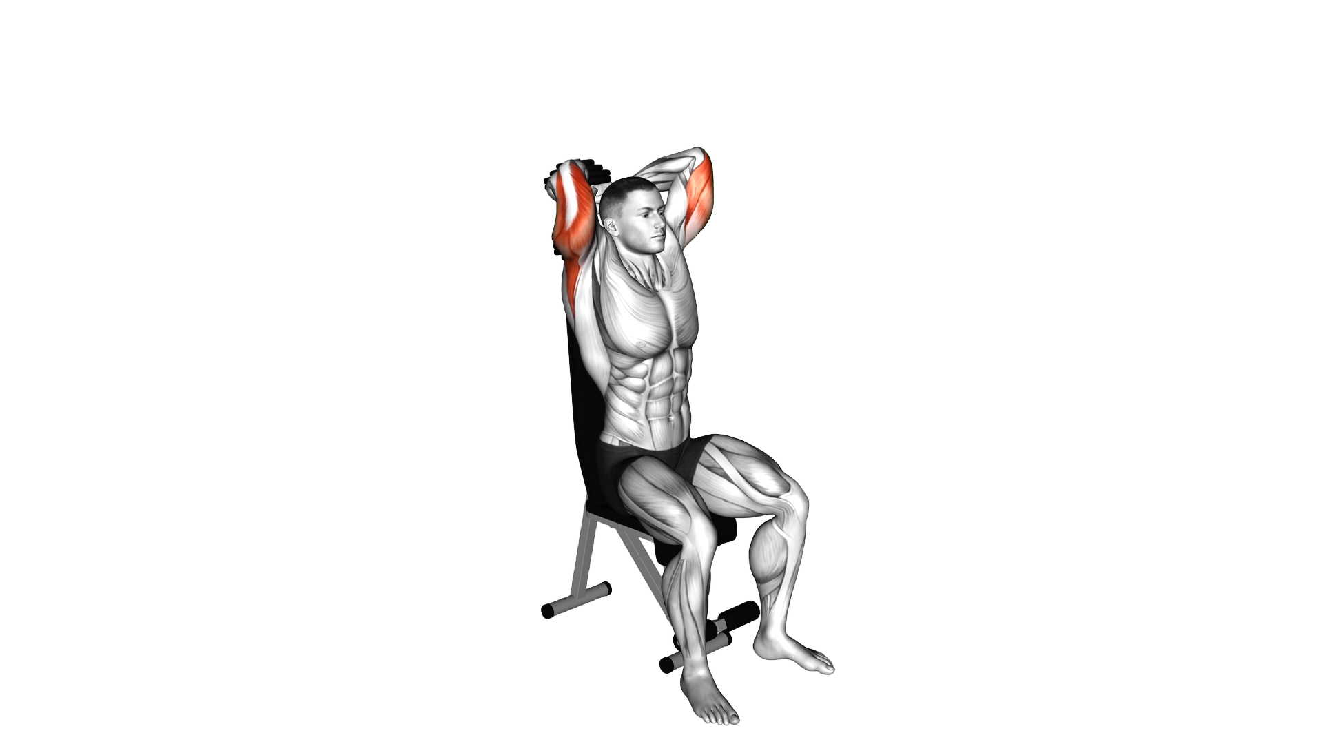 Dumbbell Seated Triceps Extension exercise demonstration