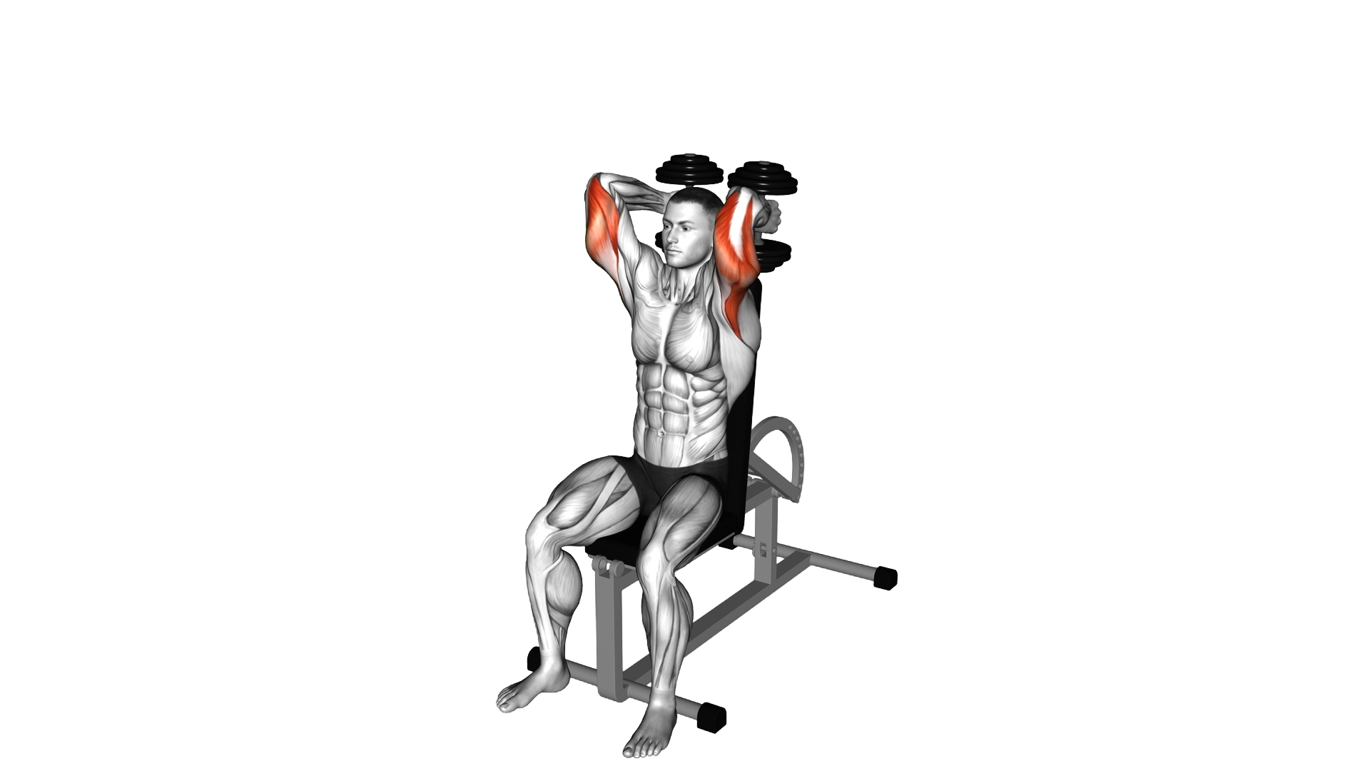Dumbbells Seated Triceps Extension exercise demonstration