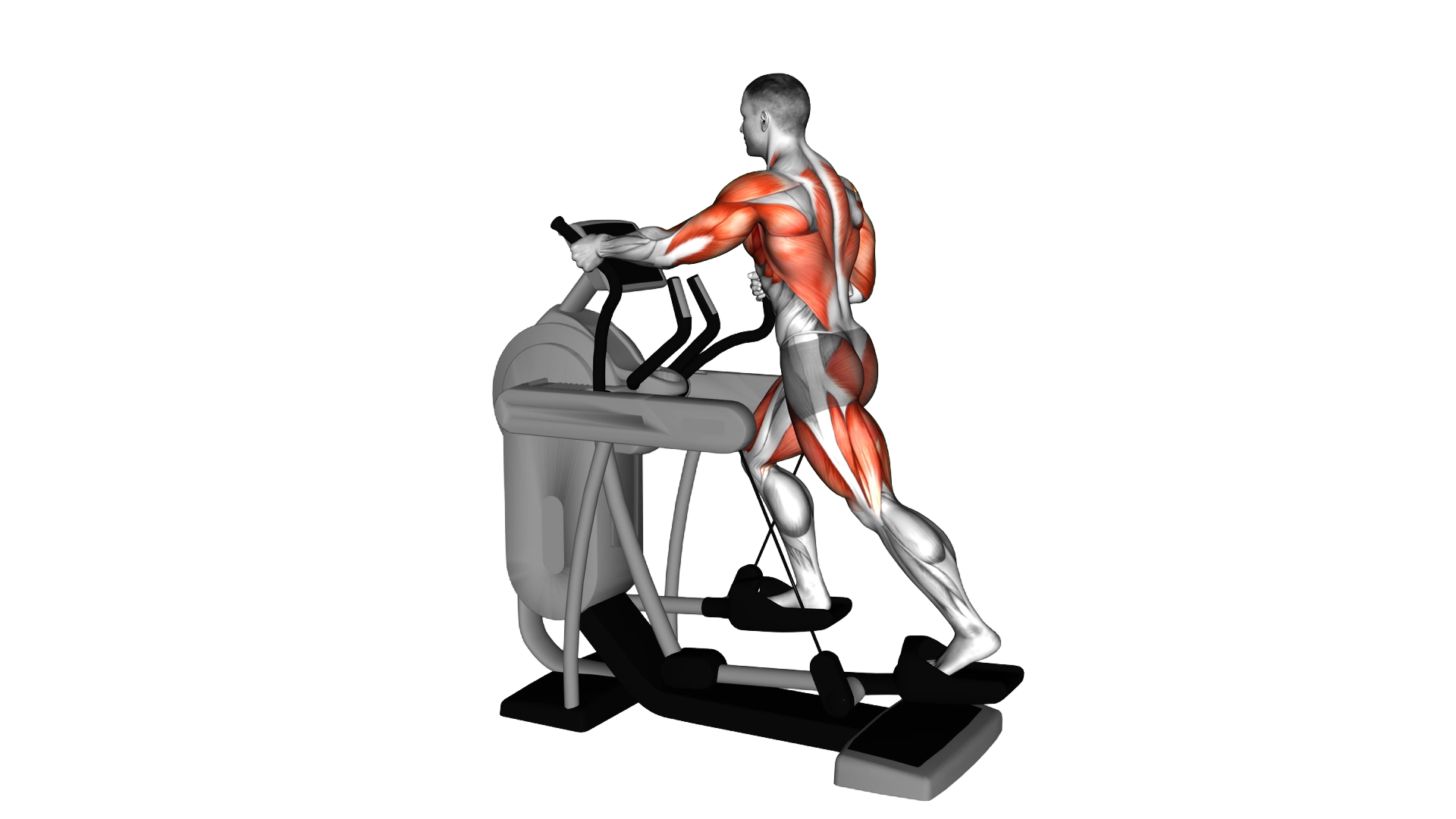 Elliptical Machine Walk exercise demonstration