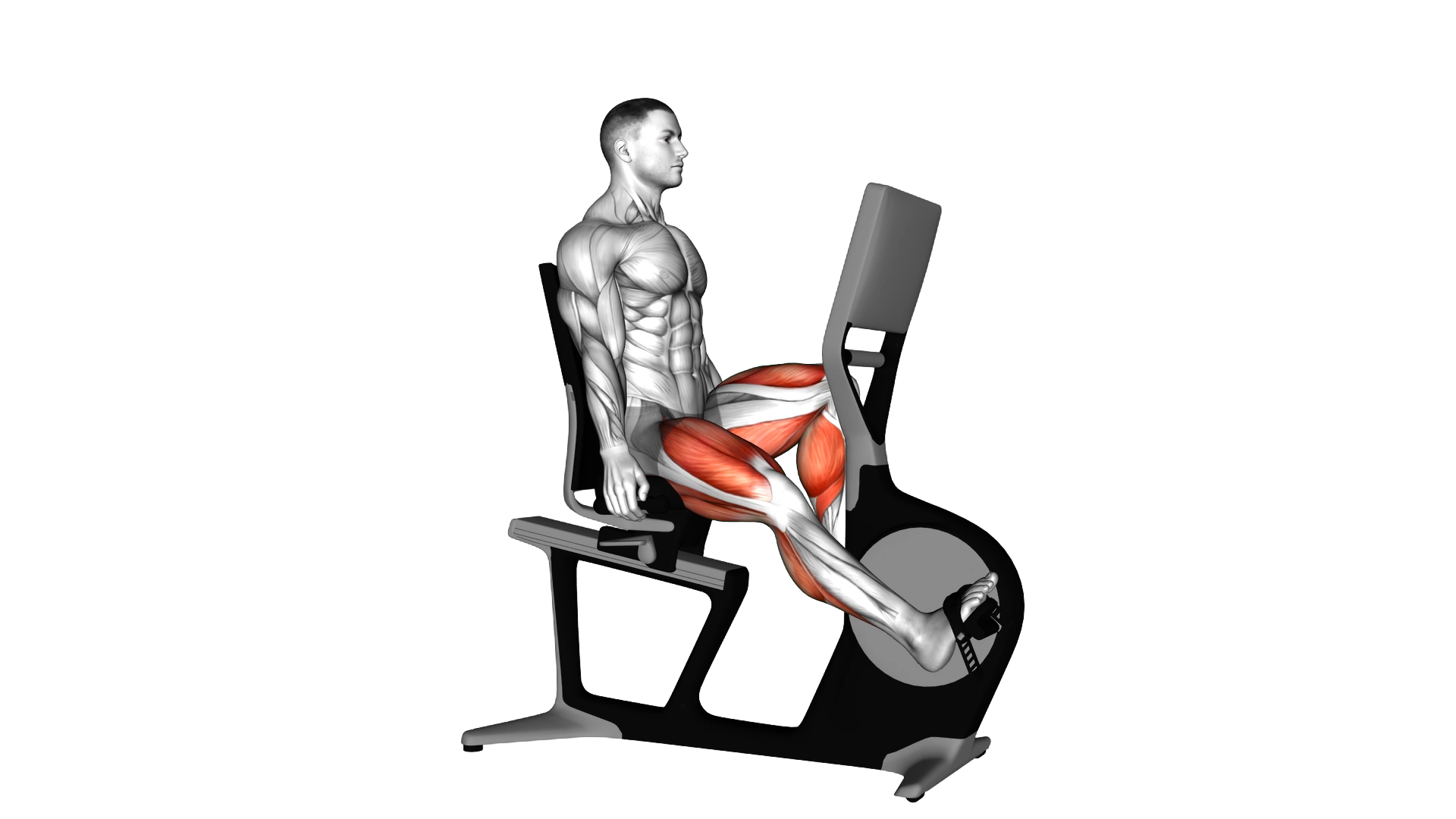 Bicycle Recline Walk exercise demonstration