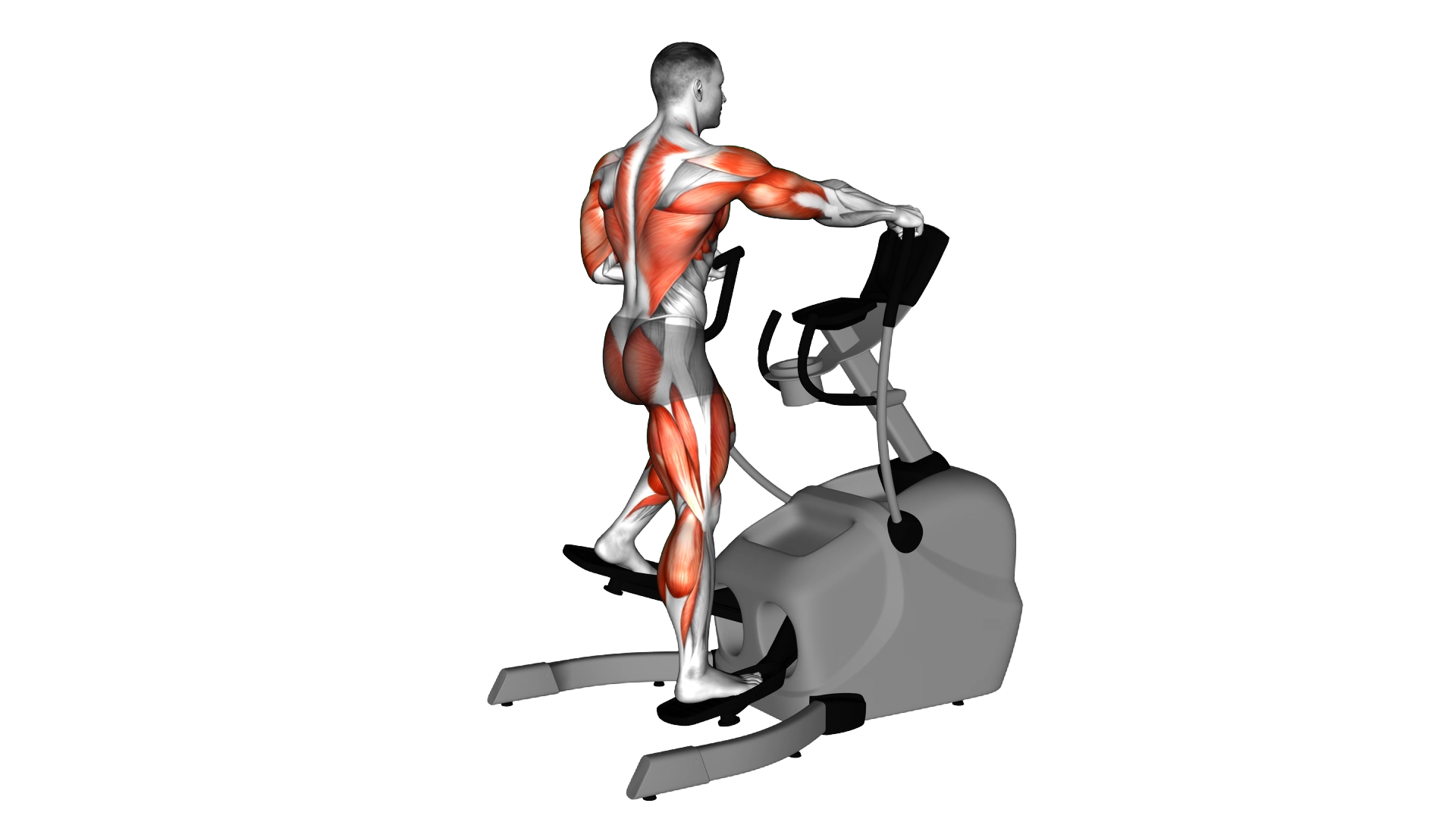 Elliptical lateral Walk exercise demonstration