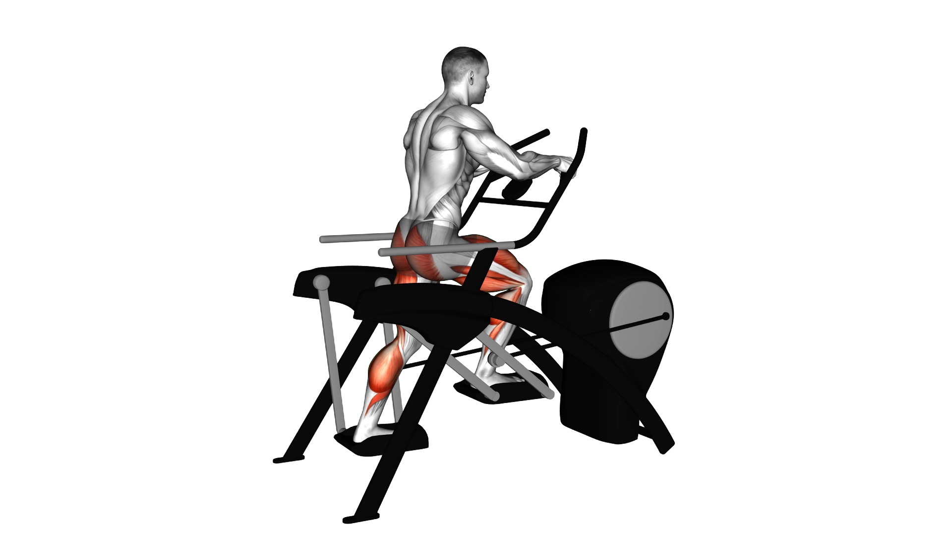 Lever Elliptical Static Walk exercise demonstration