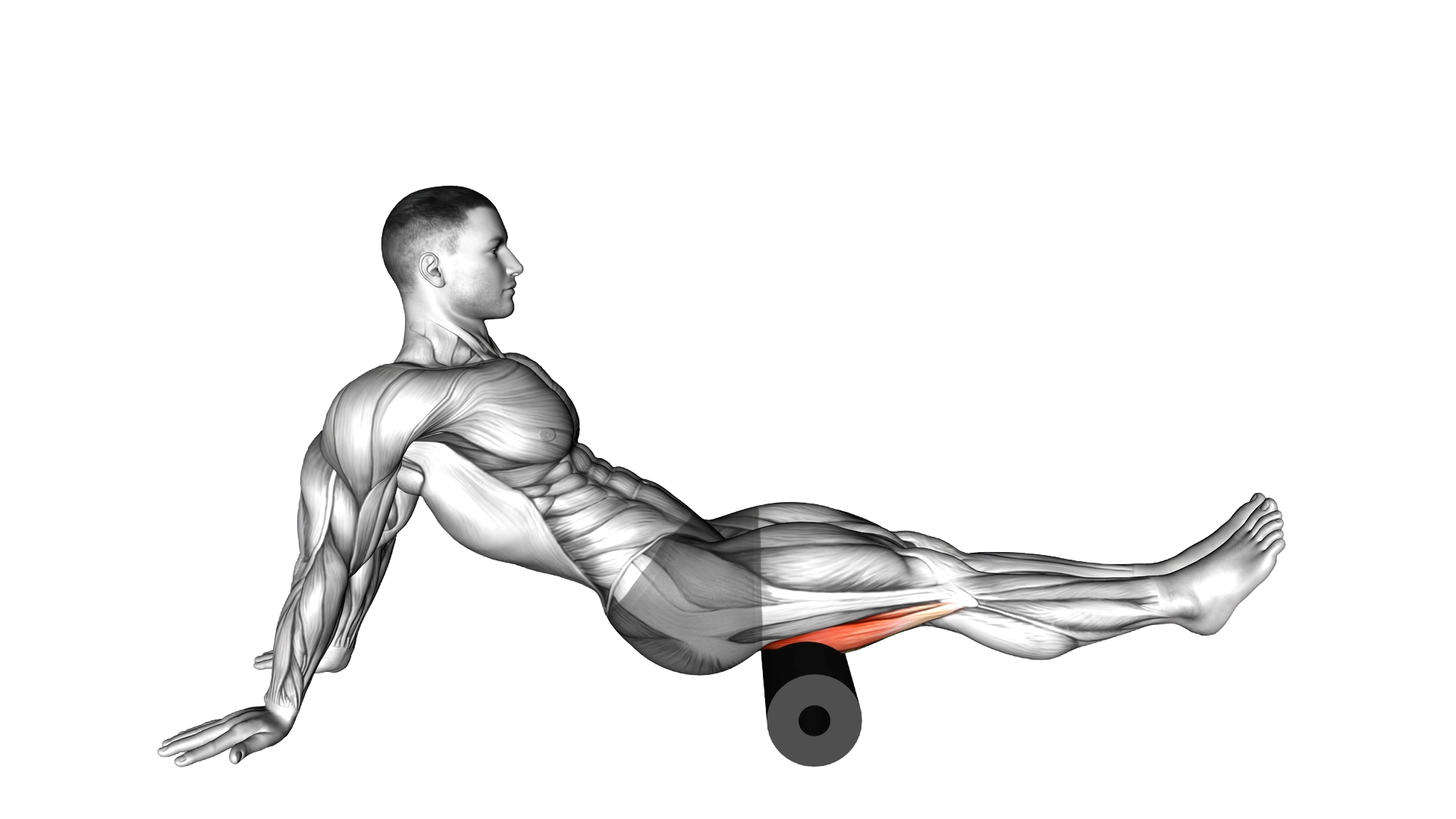 Roll Seated Shoulder Flexor Depresor Retractor exercise demonstration
