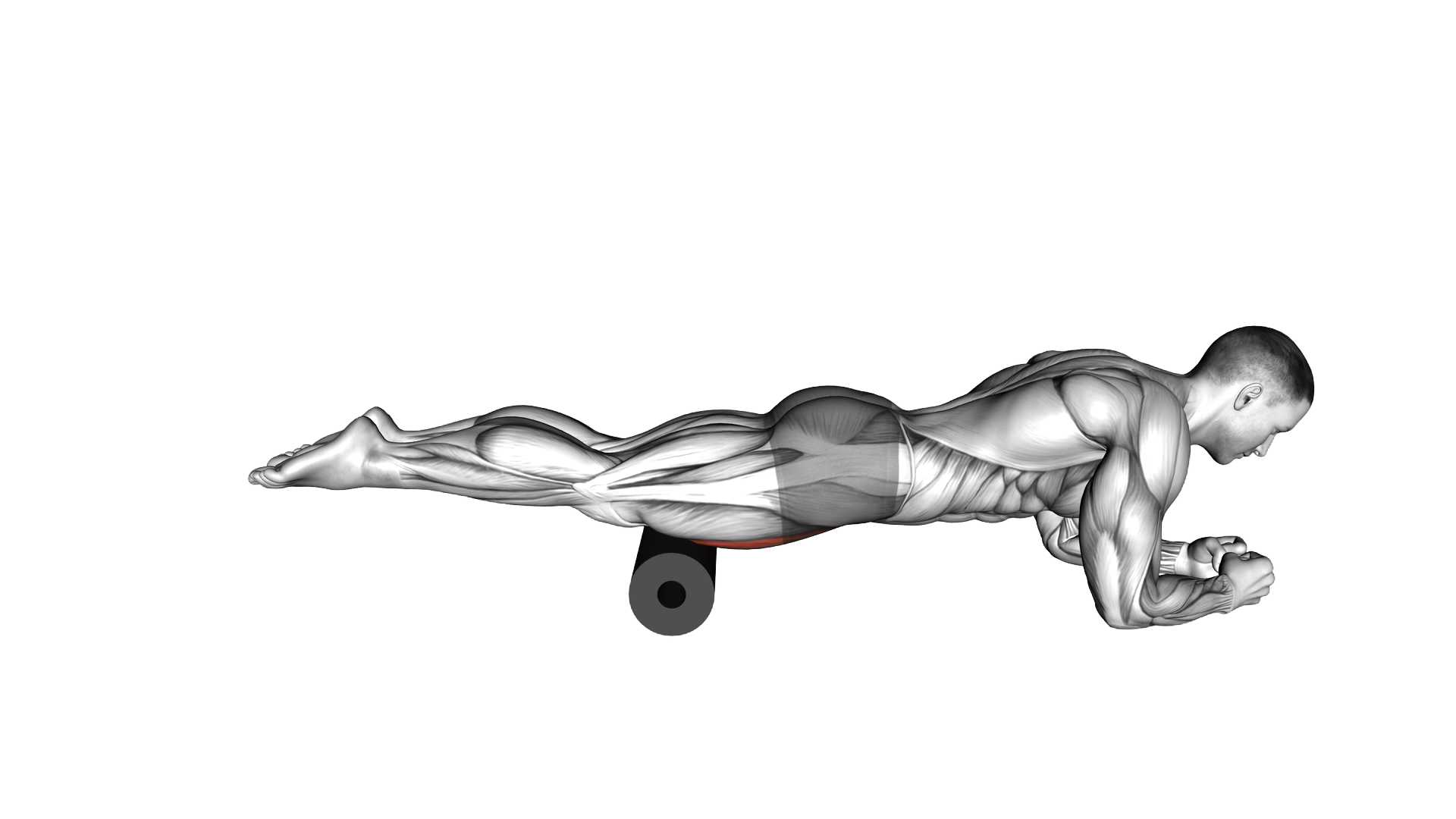 Roll Rectus Femoris exercise thumbnail