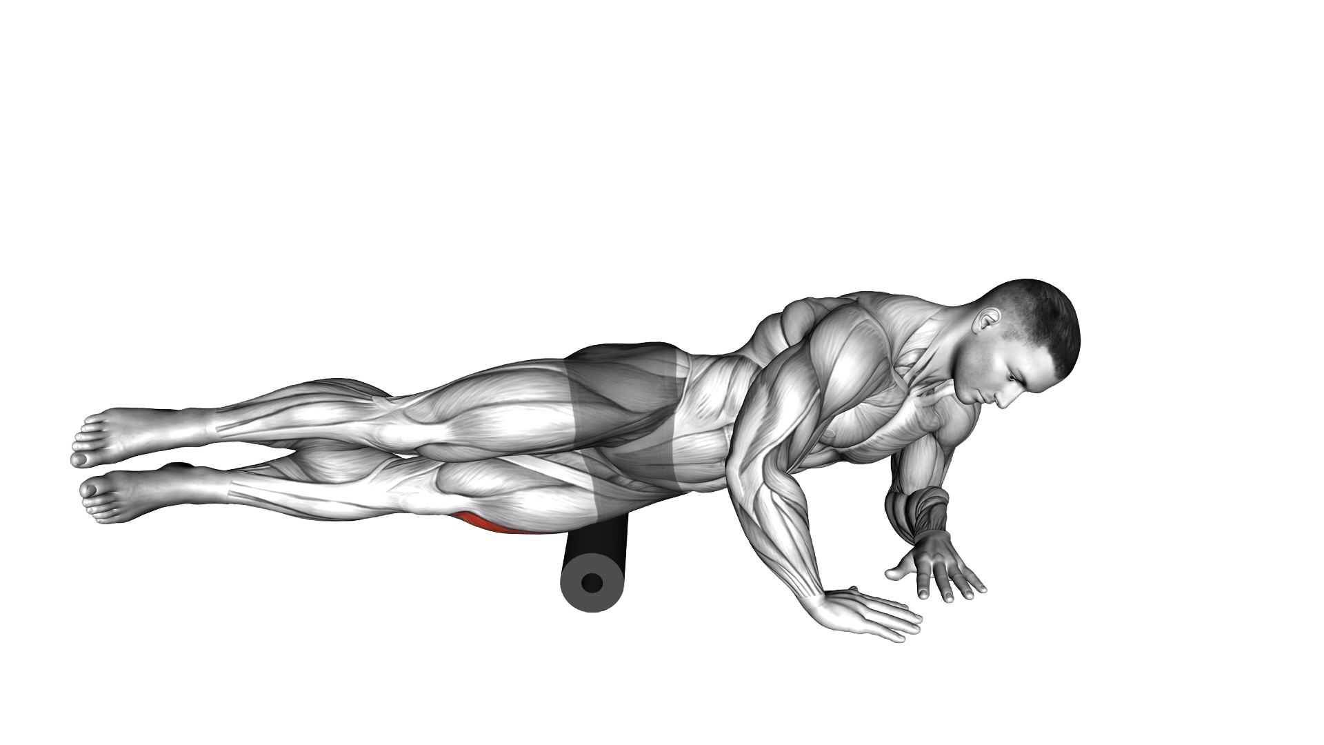 Roll Side Lat Stretch exercise demonstration