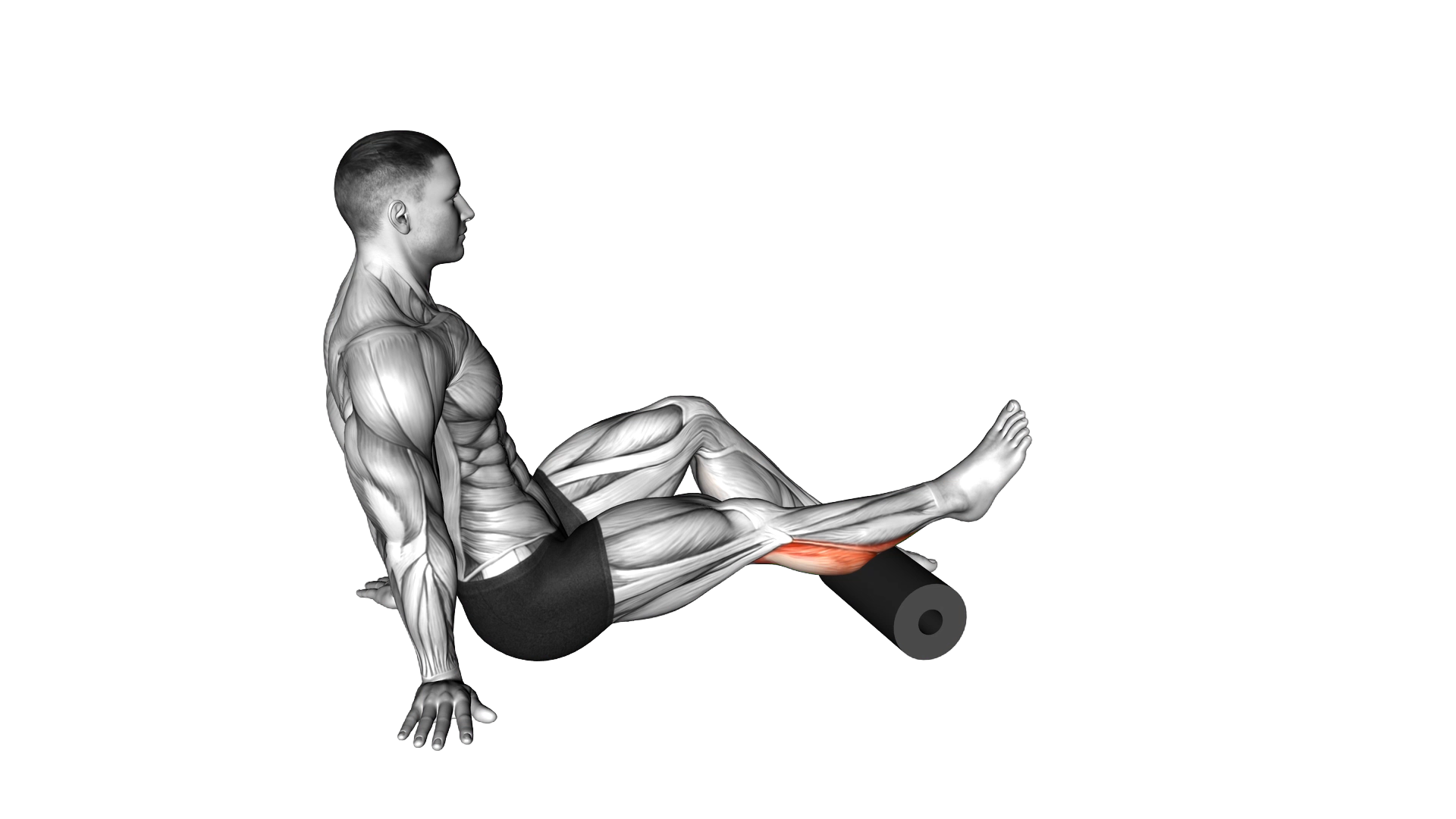 Roll Seated Single Leg Shoulder Flexor Depresor Re exercise demonstration