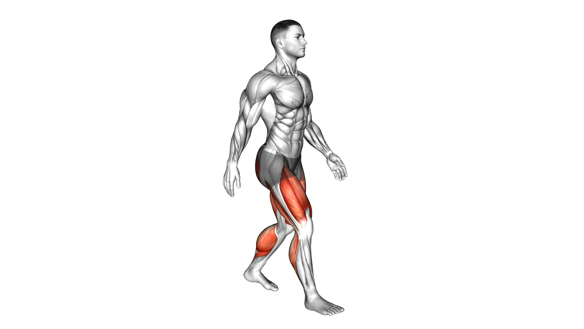 Walking exercise demonstration