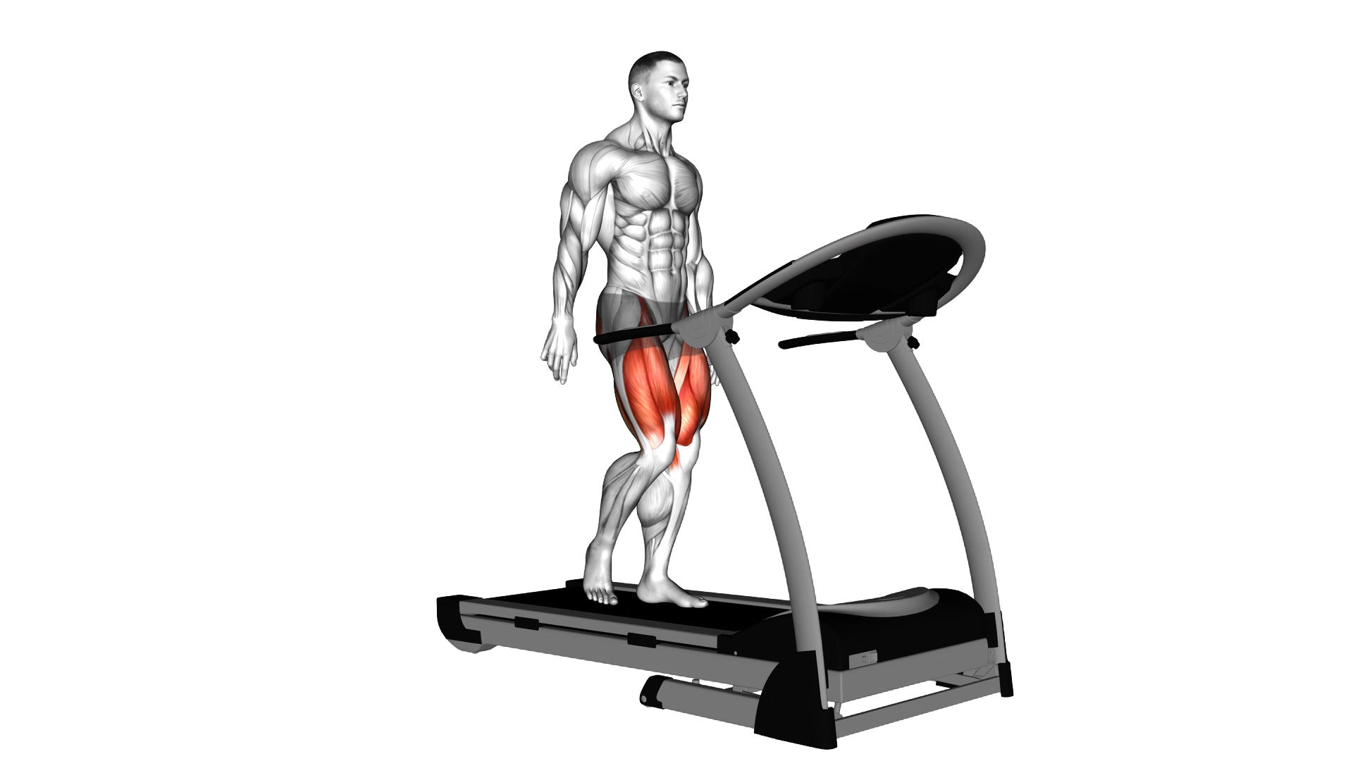 Walking on Treadmill exercise demonstration