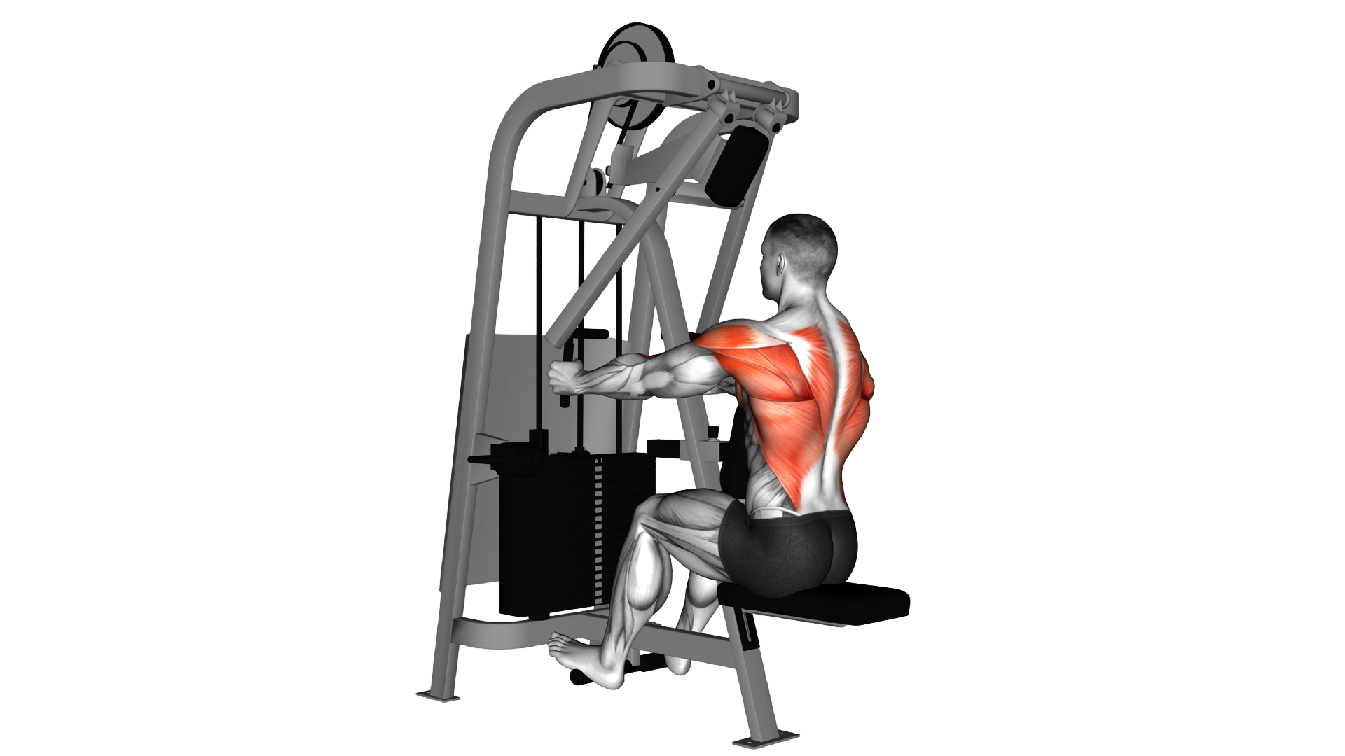 Lever Seated Row exercise demonstration
