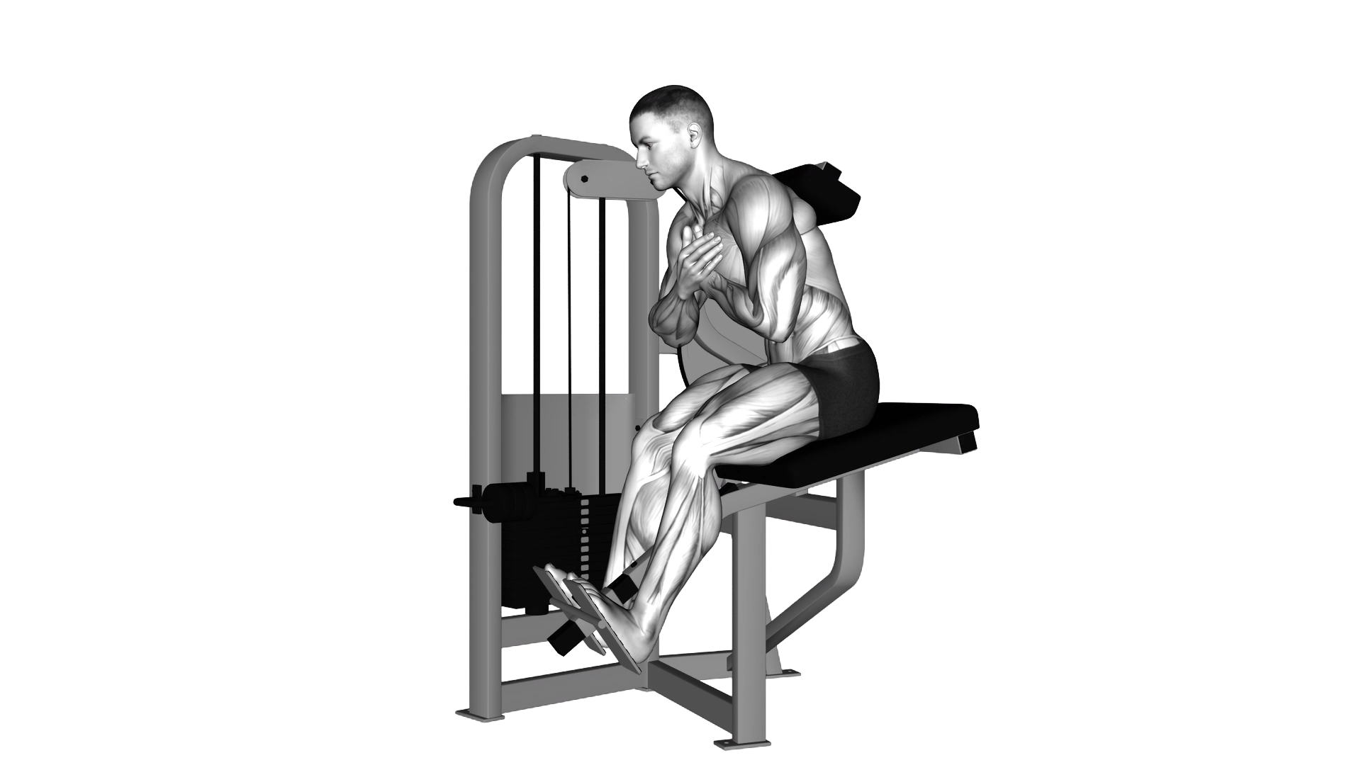 Lever Back Extension exercise demonstration