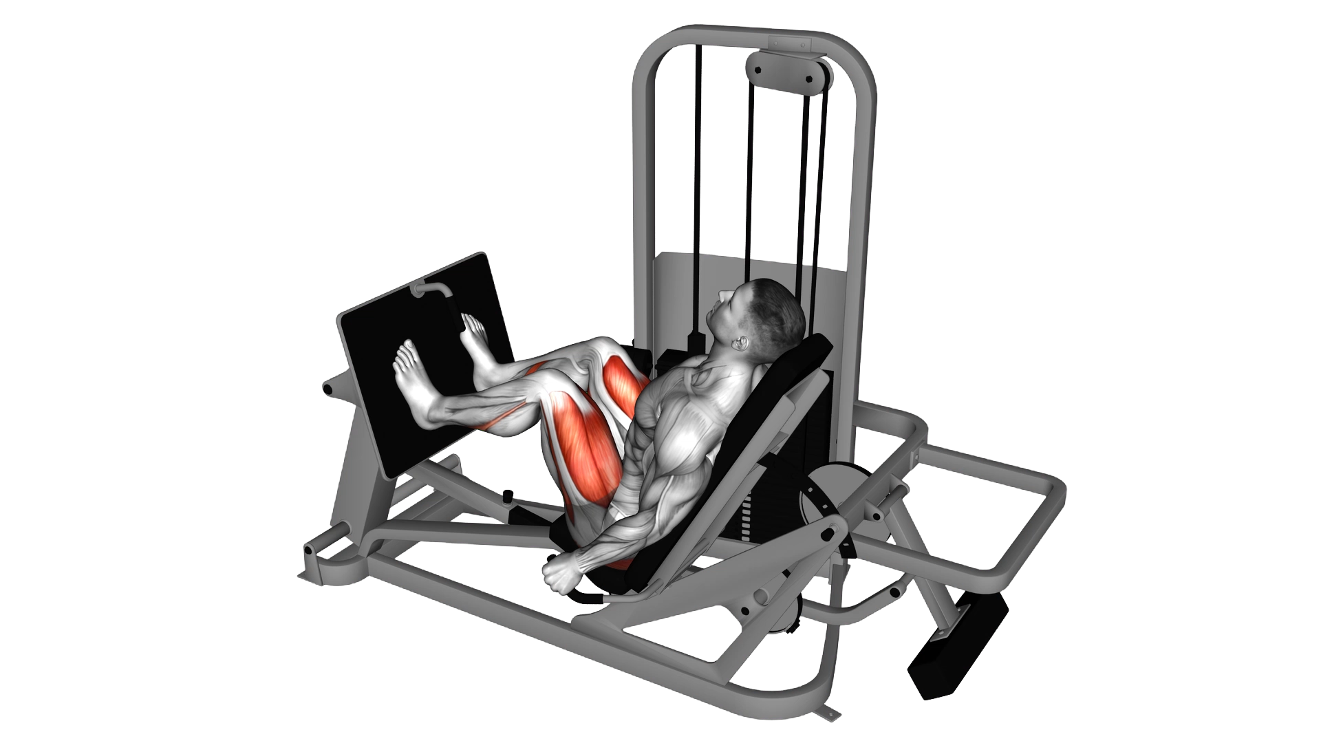 Lever Seated Leg Press exercise demonstration