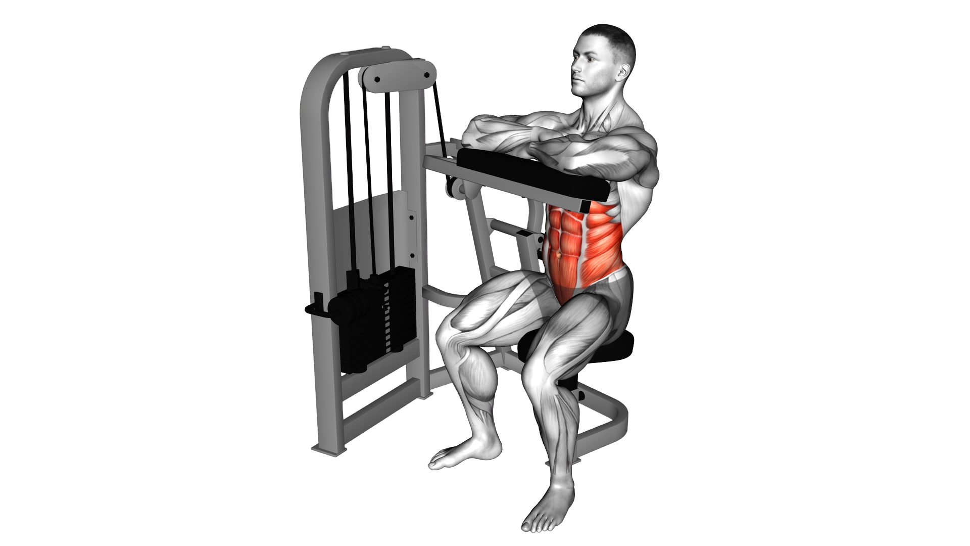 Lever Seated Crunch (hands pad) exercise demonstration