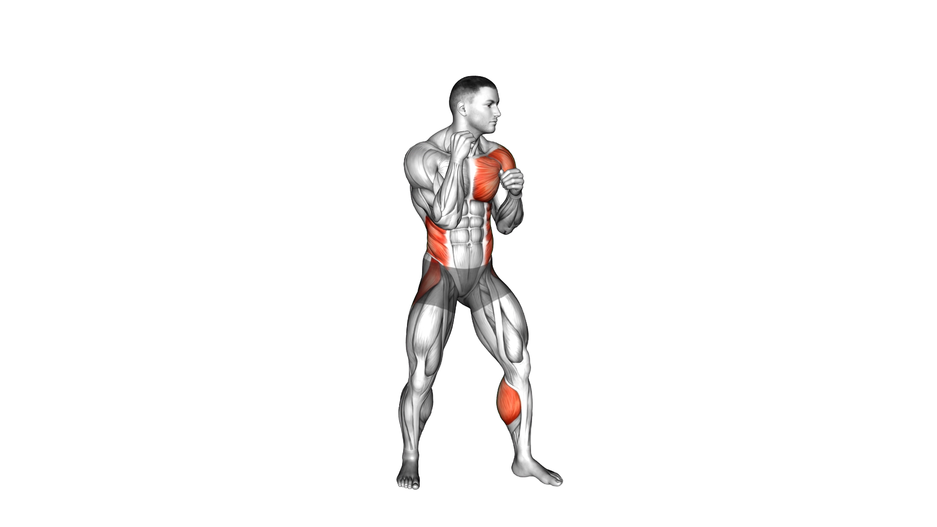 Boxing Left Hook exercise thumbnail