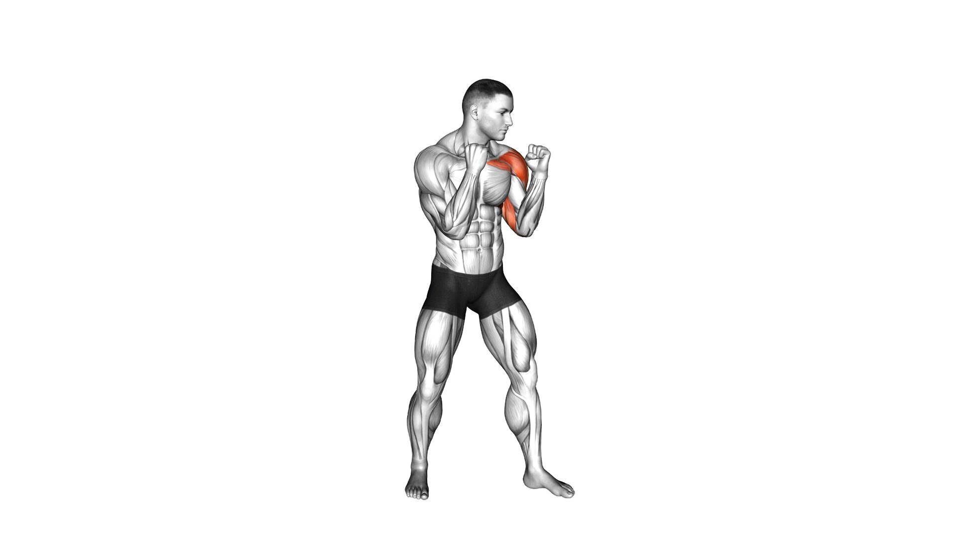 Boxing Jab exercise thumbnail
