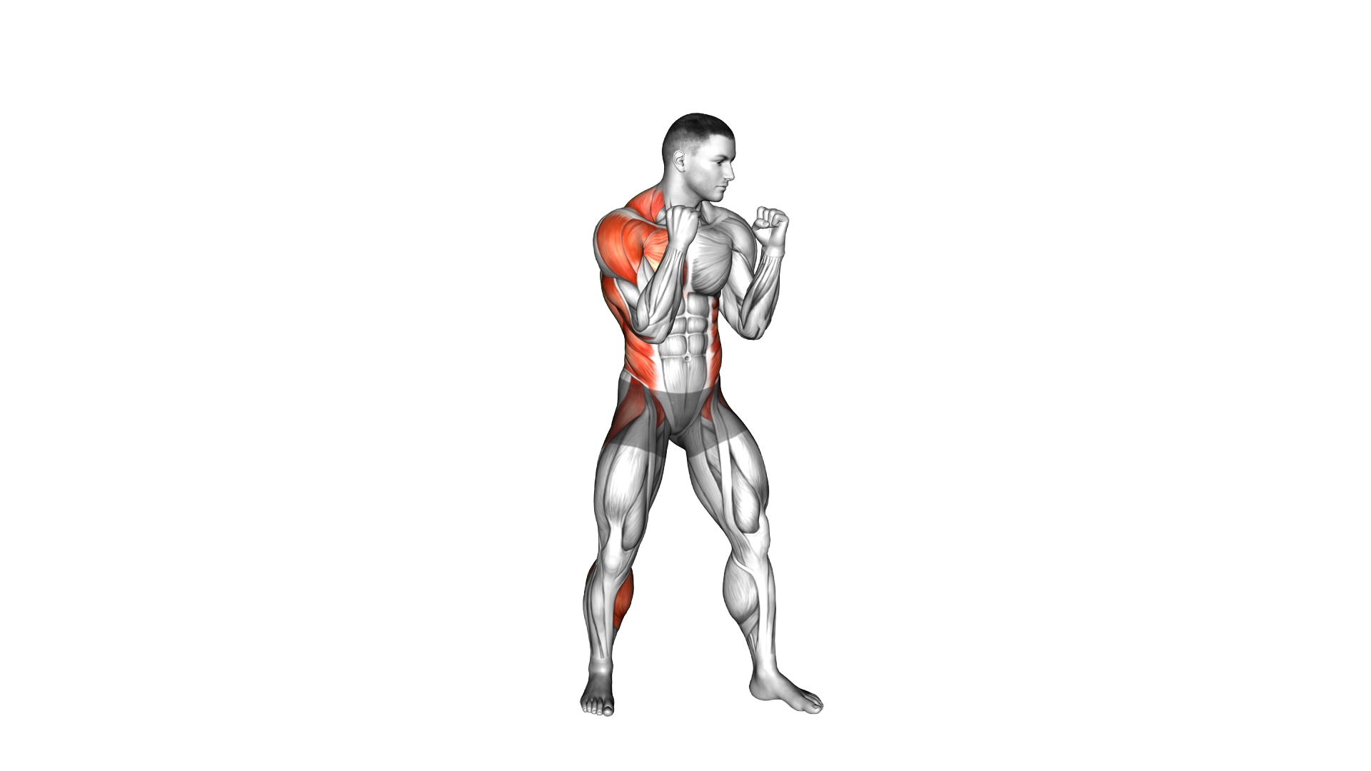 Boxing Right Cross exercise thumbnail