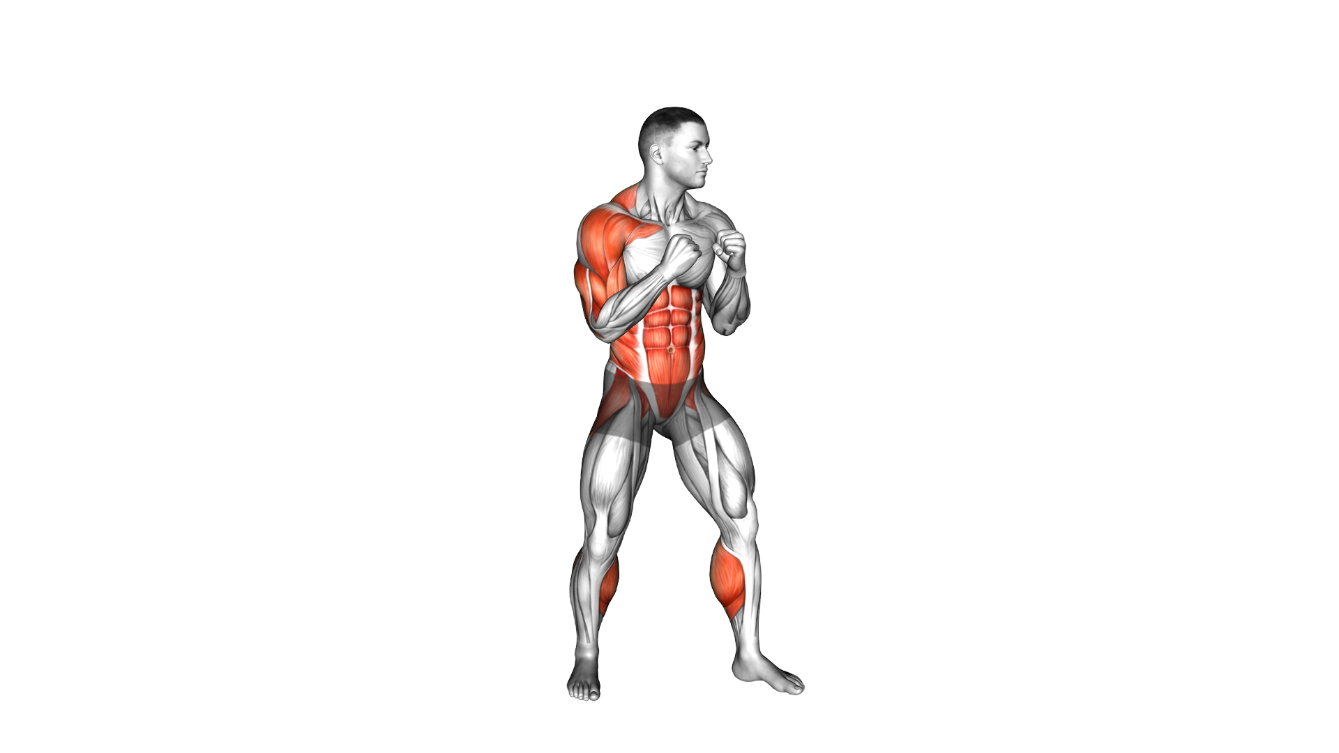 Boxing Right Uppercut exercise thumbnail