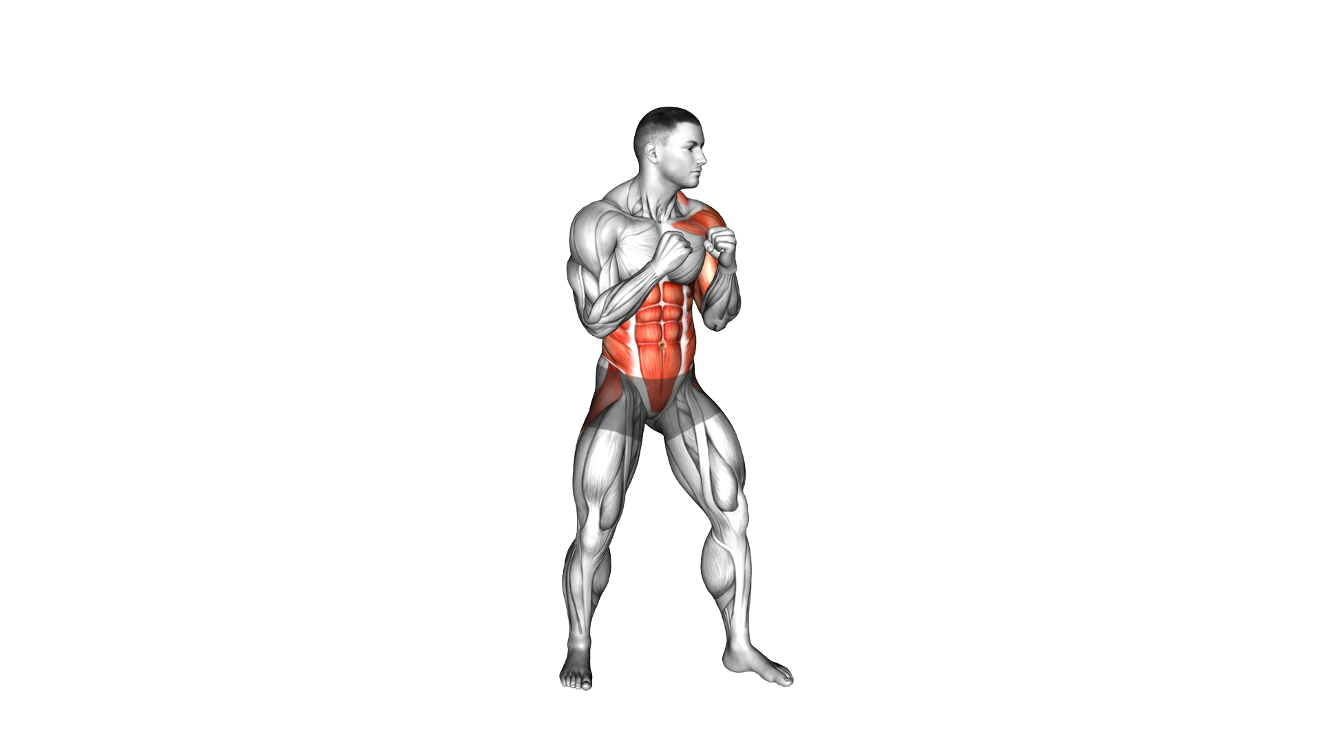Boxing Left Uppercut exercise thumbnail